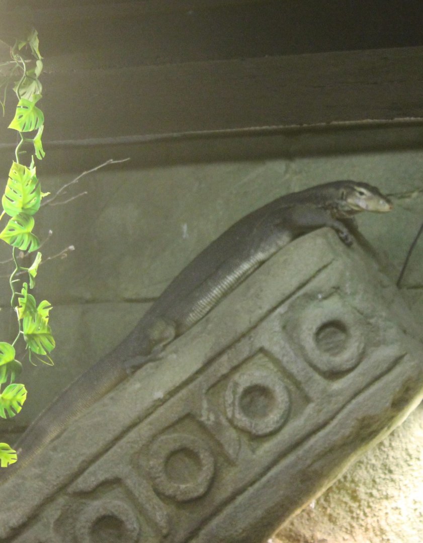 Banded water monitor