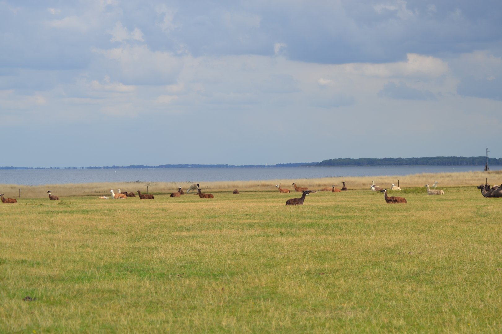 Bandholmmarken in Knuthenborg