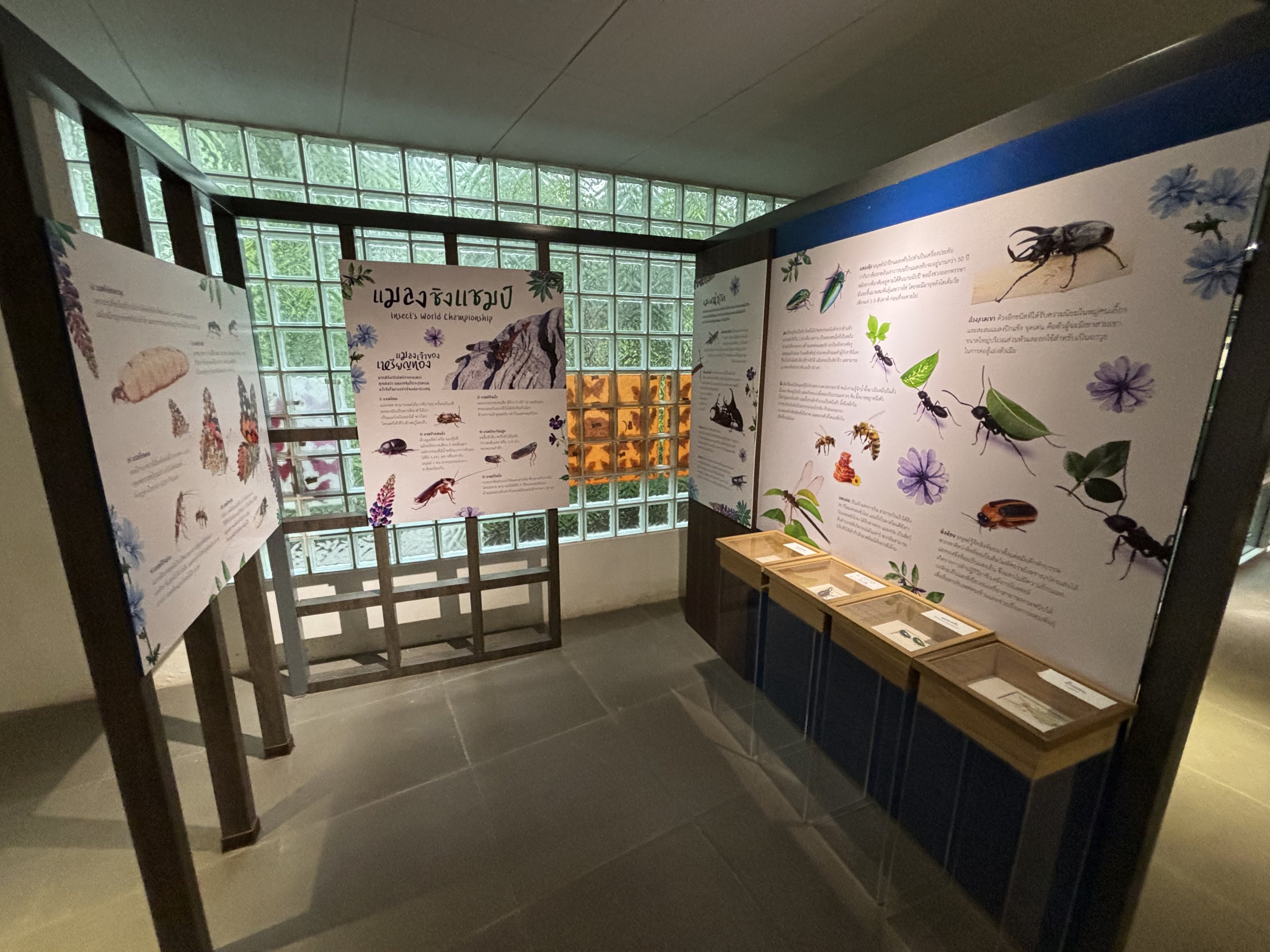 Bangkok Butterfly Garden