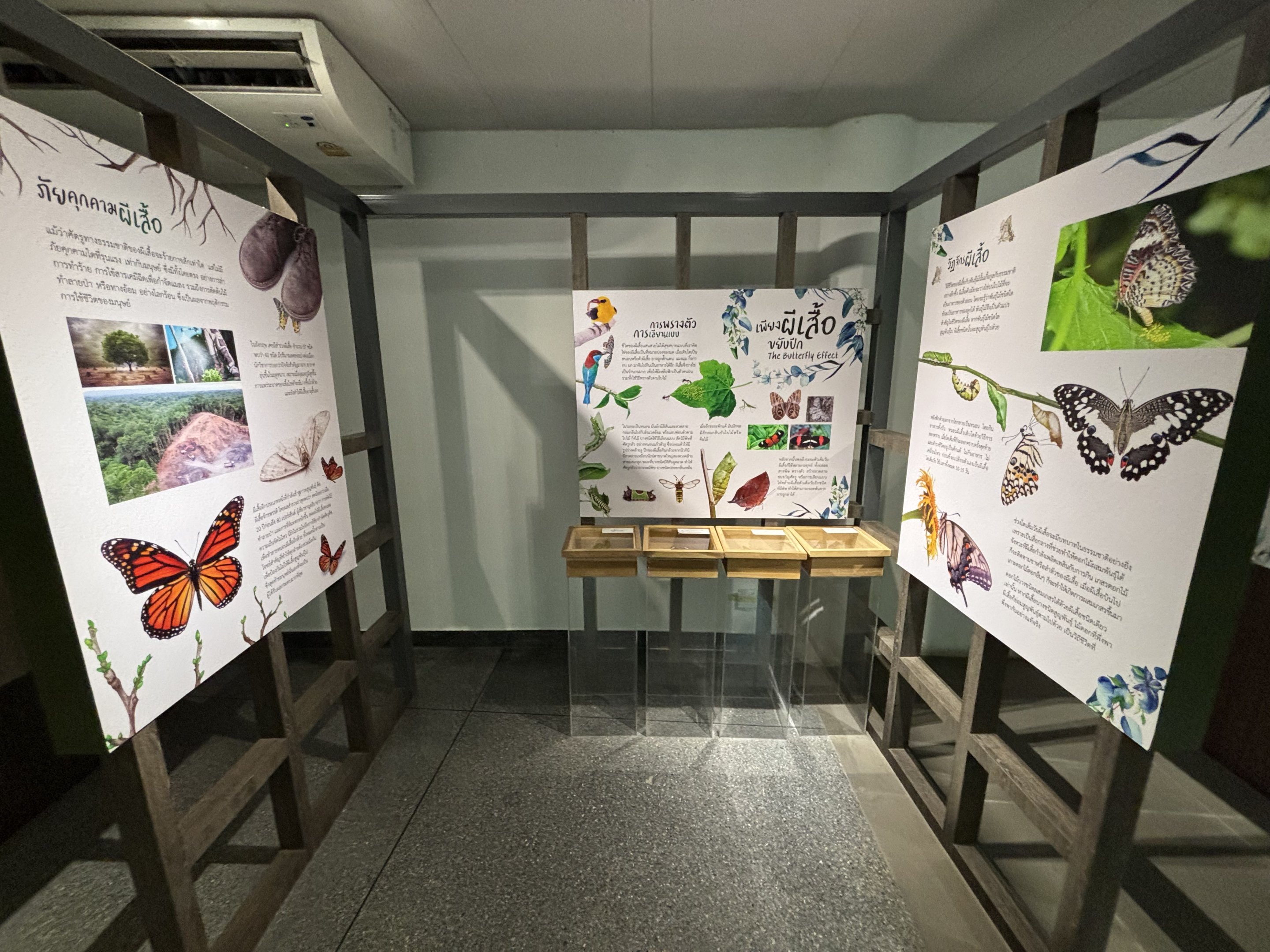 Bangkok Butterfly Garden