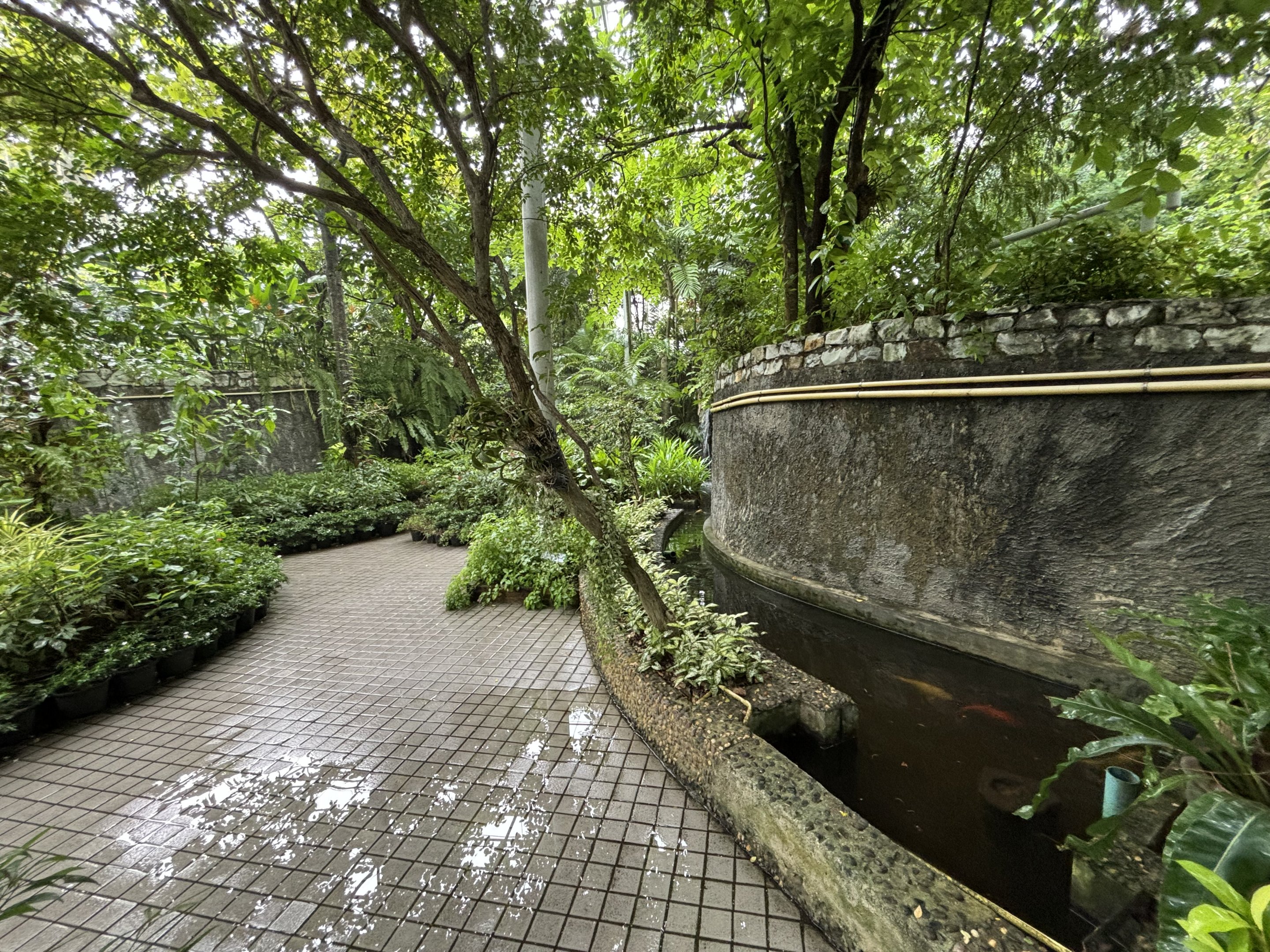 Bangkok Butterfly Garden