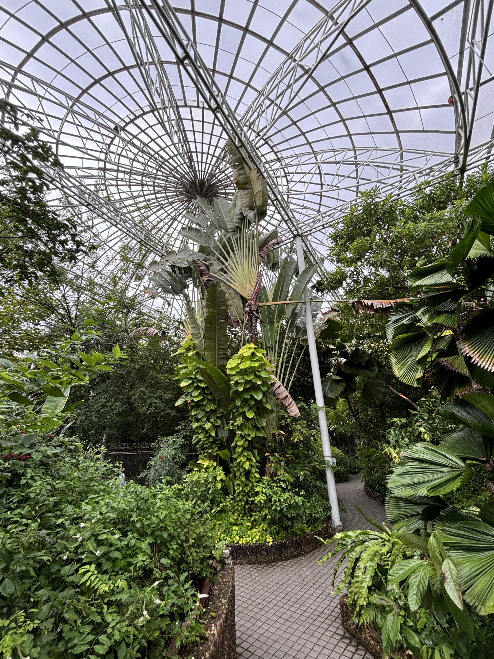 Bangkok Butterfly Garden