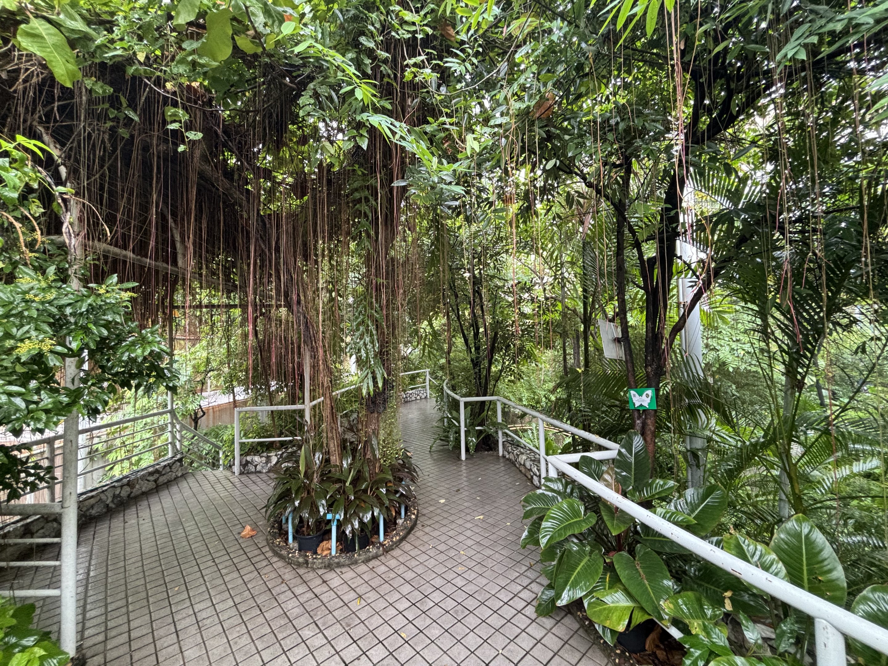 Bangkok Butterfly Garden