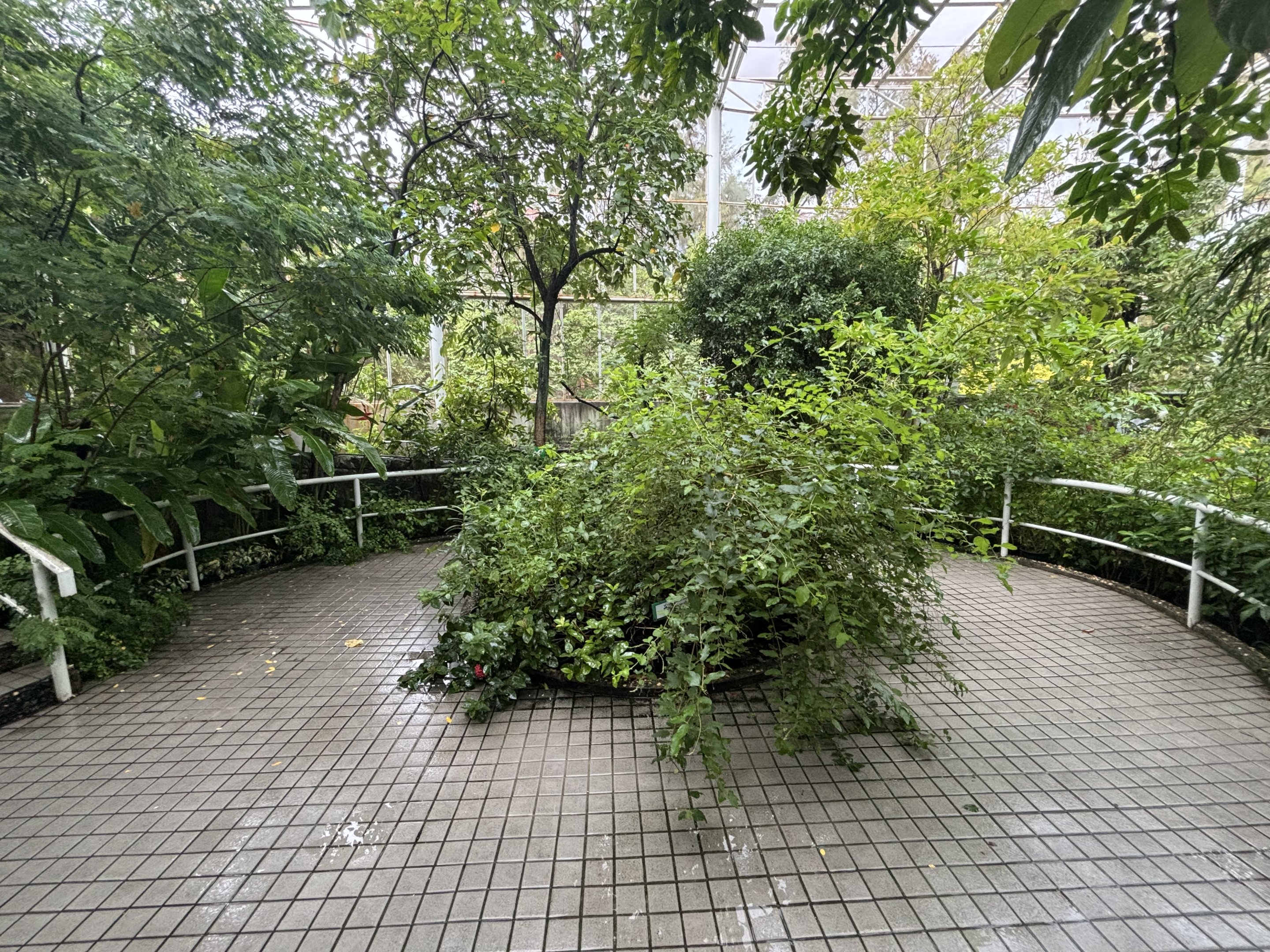 Bangkok Butterfly Garden