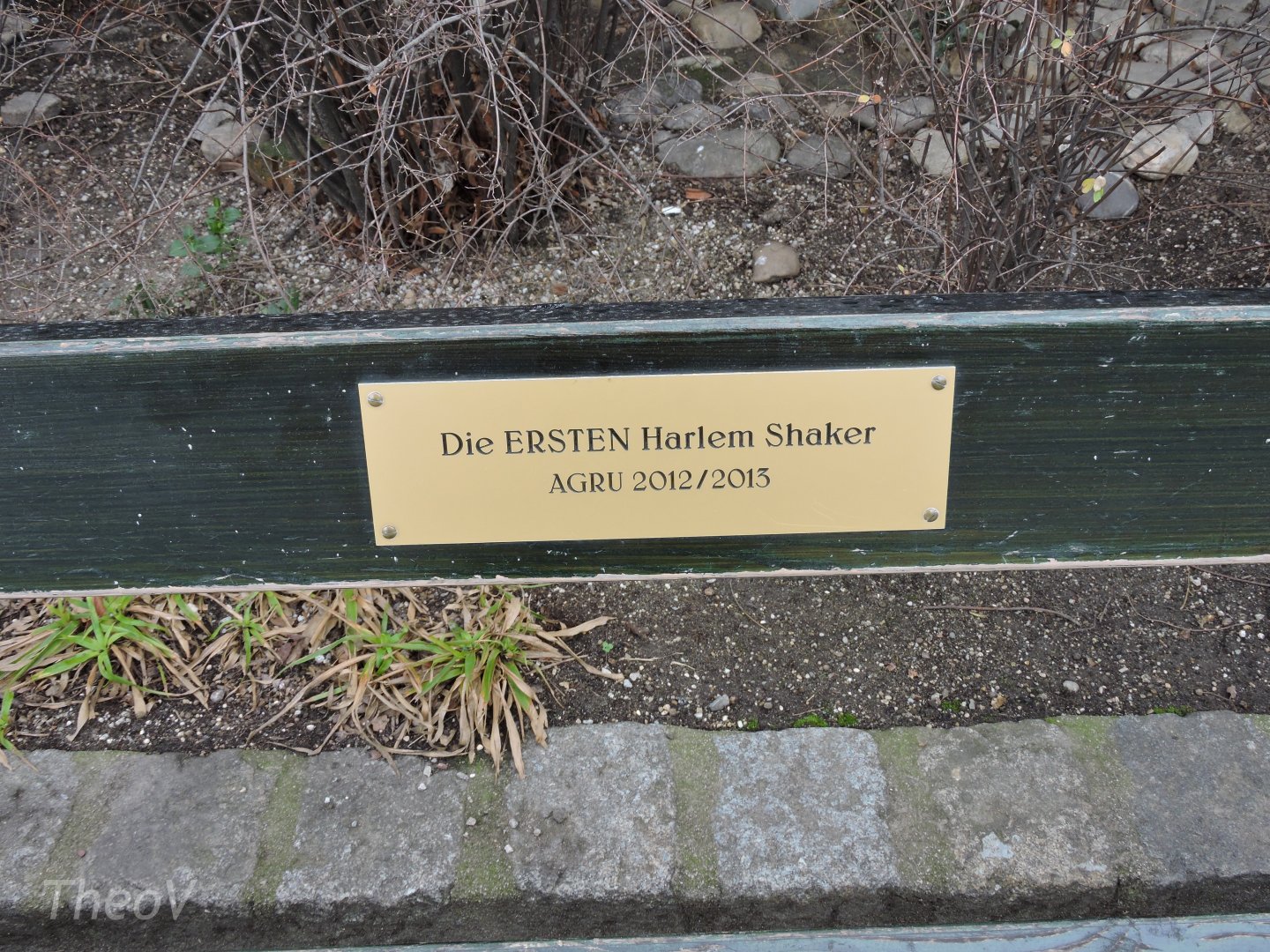 Bank dedicated to the first Harlem Shaker [2016]