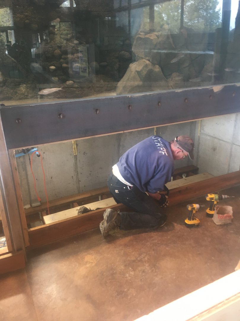 Banks of the Yellowstone construction