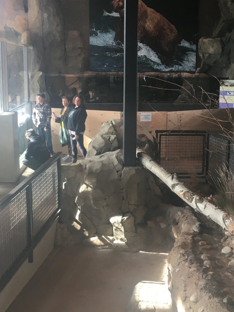 Banks of the Yellowstone construction