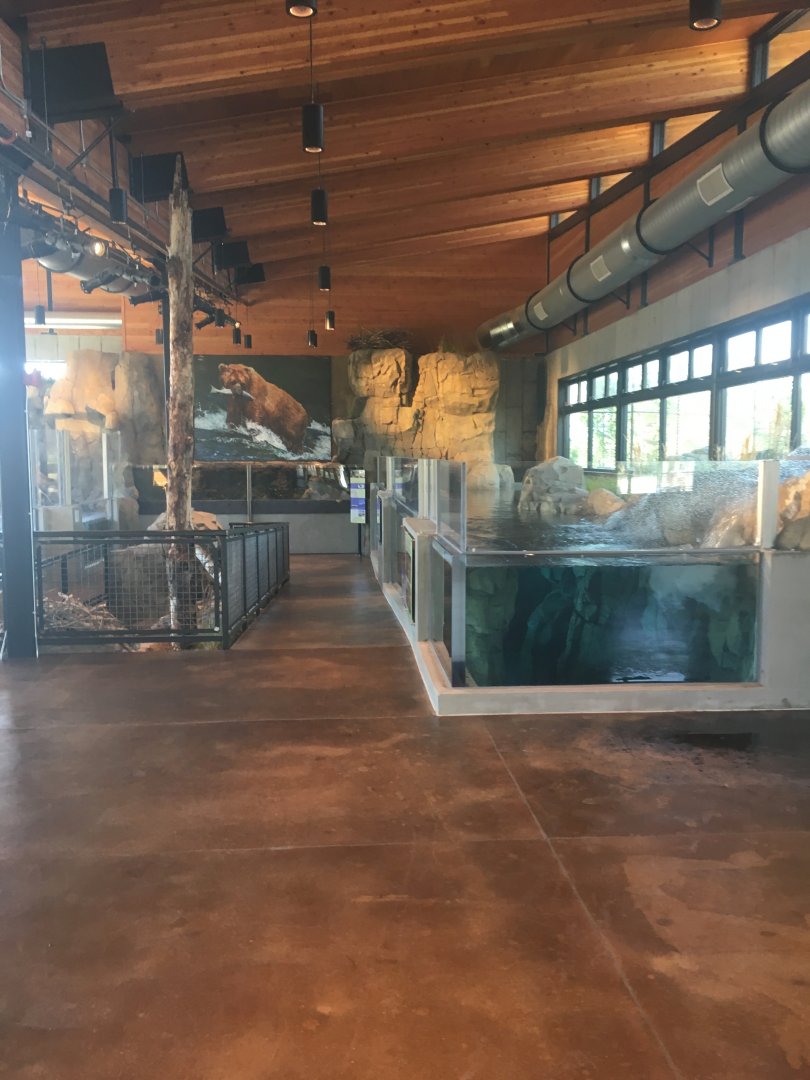 Banks of the Yellowstone exhibit