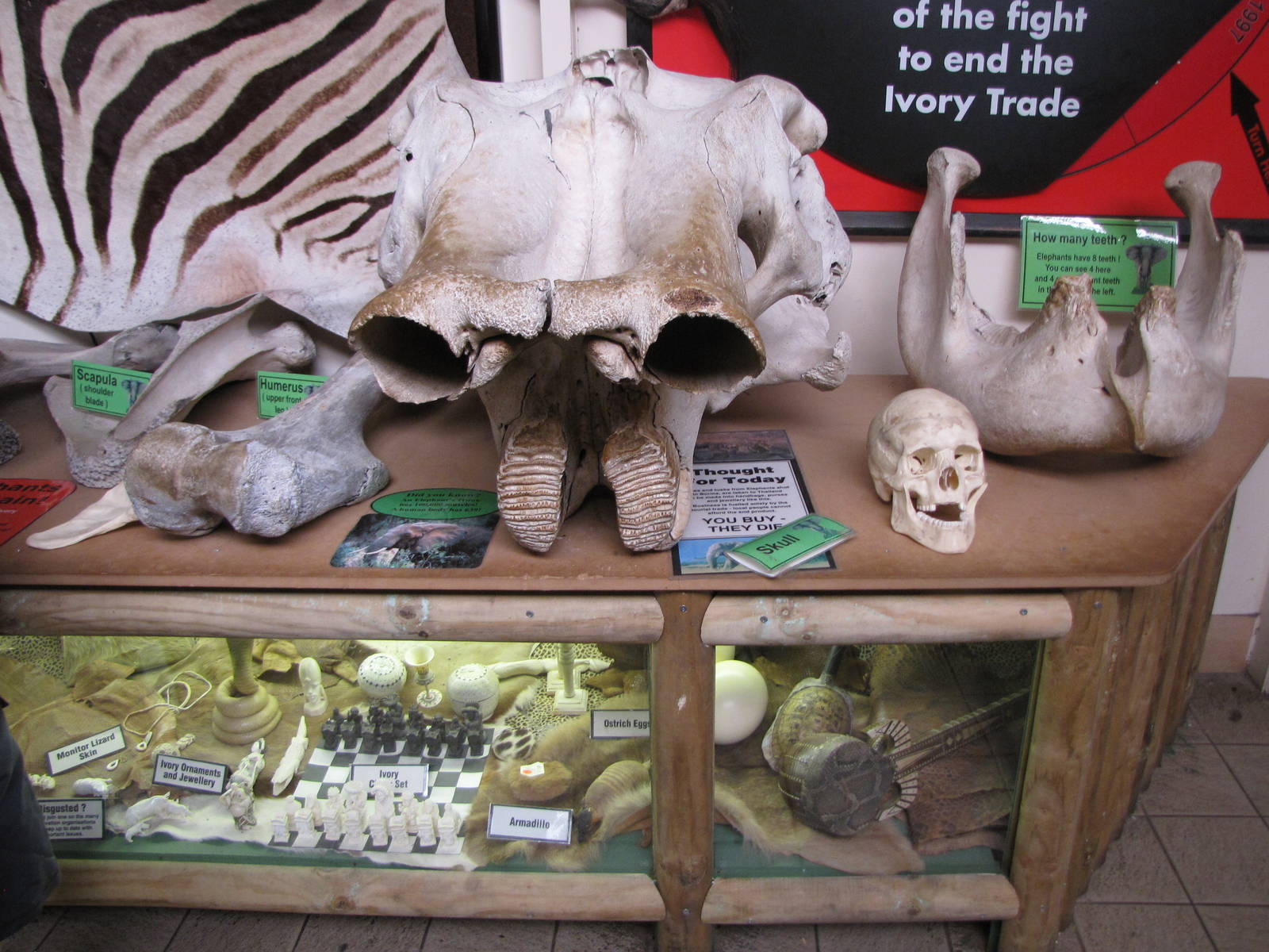 Banned animal products