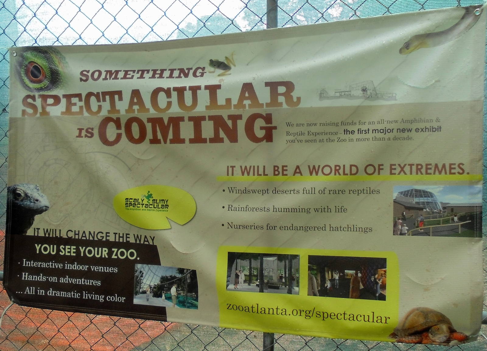 Banner for New Reptile Complex