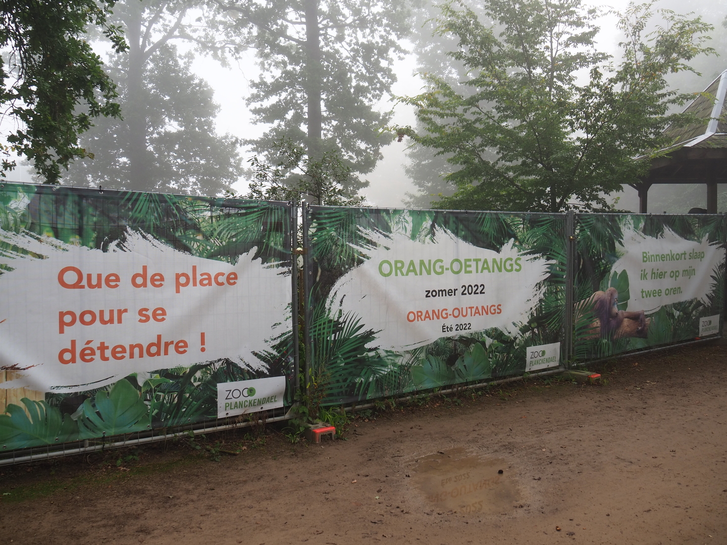 Banners on orangutan project construction site fencing, 2021-10-10