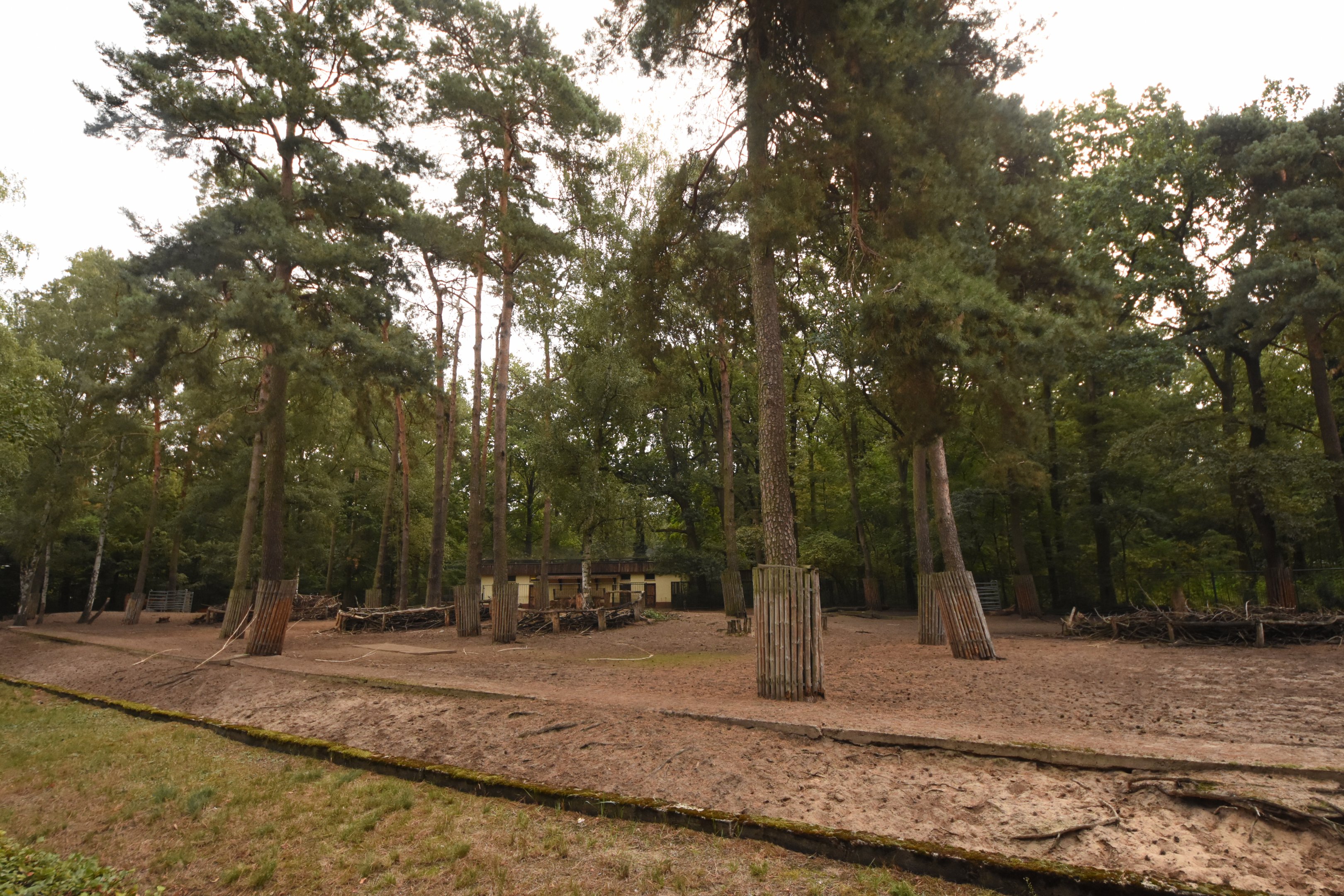 Banteng & Axis deer enclosure