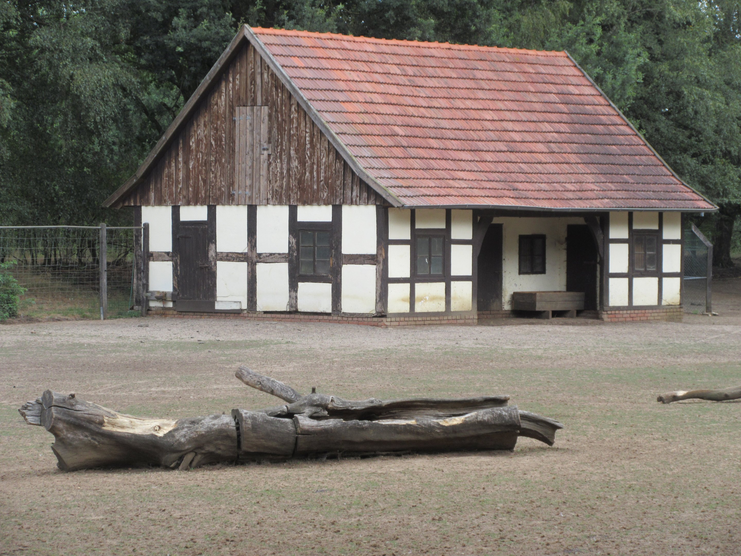 Banteng/Blackbuck Exhibit - Barn