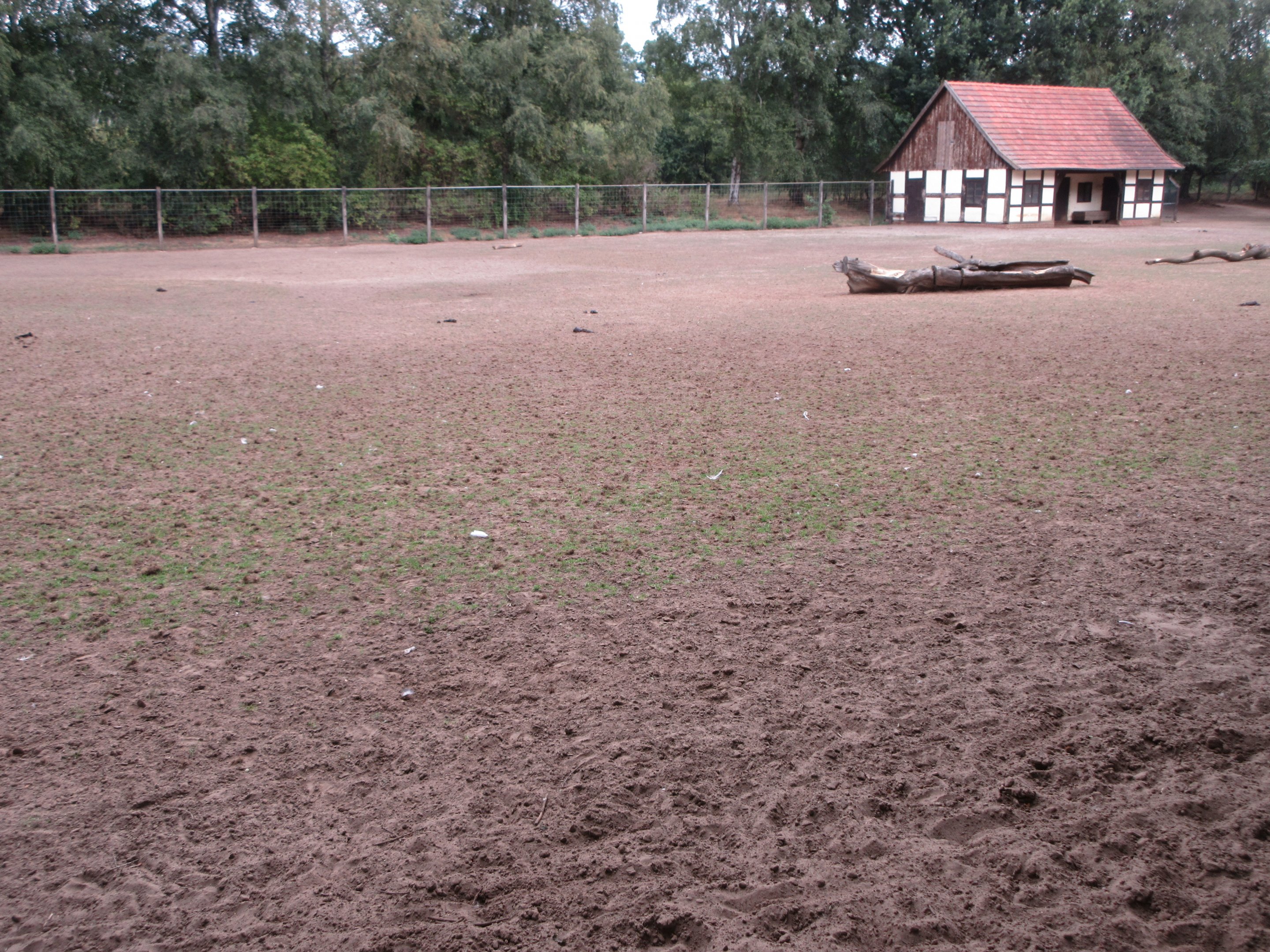 Banteng/Blackbuck Exhibit