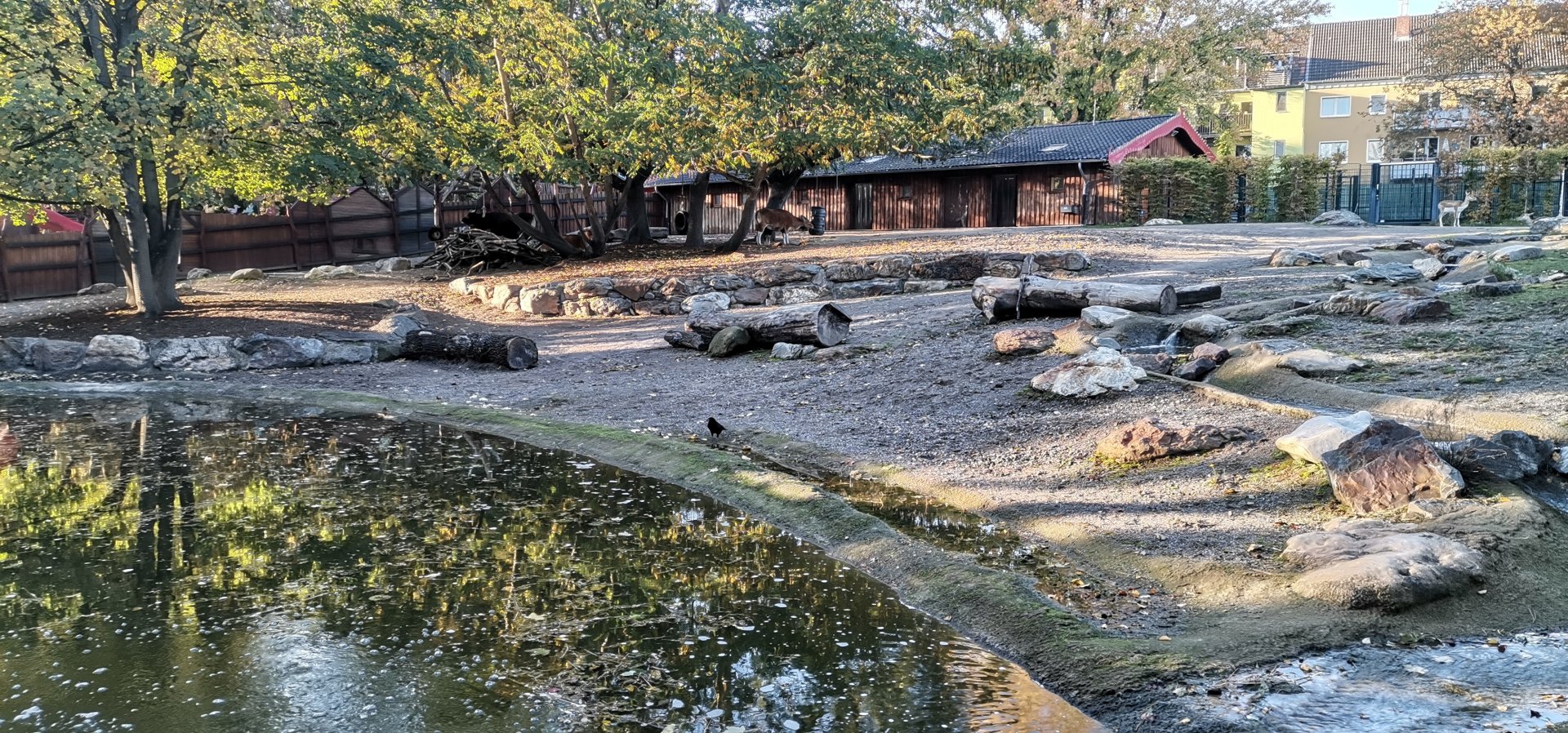 Banteng/Blackbuck paddock