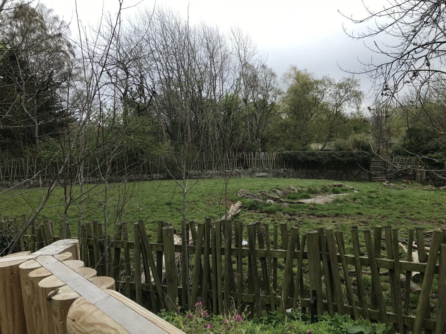 Banteng enclosure (2)