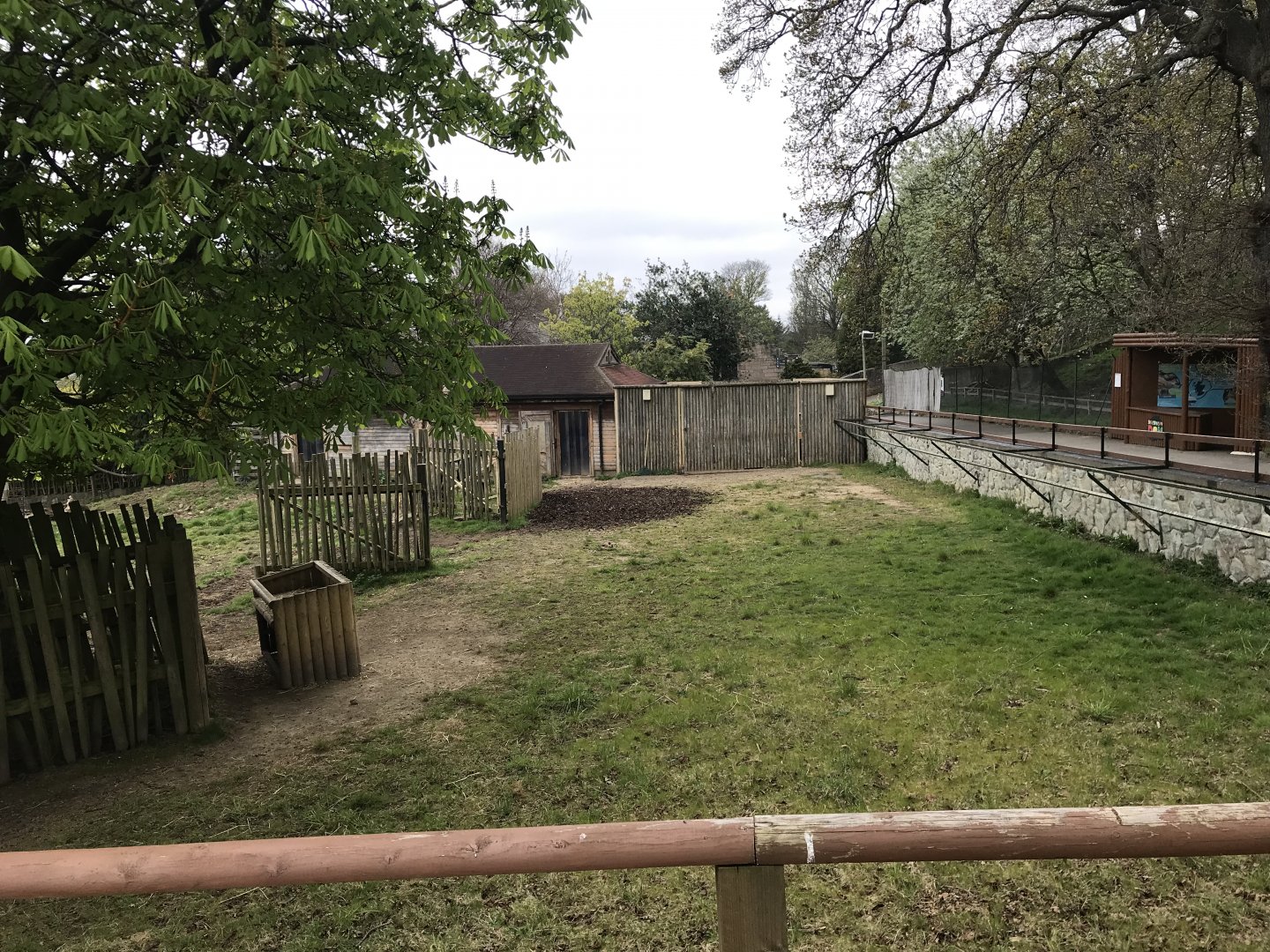 Banteng enclosure (3)