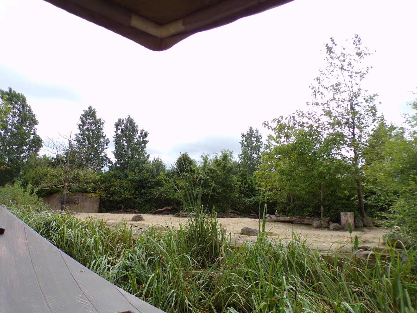 Banteng enclosure from the riverboat 29.6.24