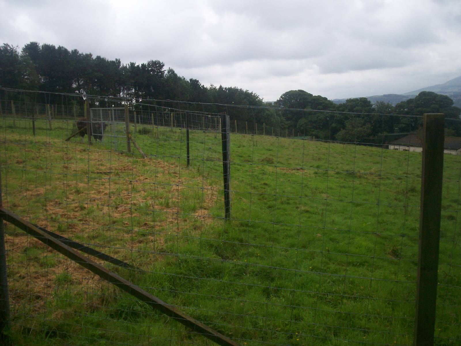 Banteng enclosure
