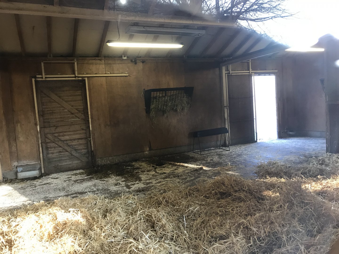 Banteng indoor enclosure