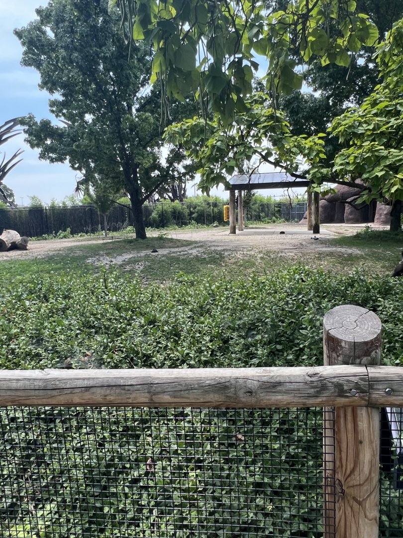 Banteng/Sarus Crane Exhibit