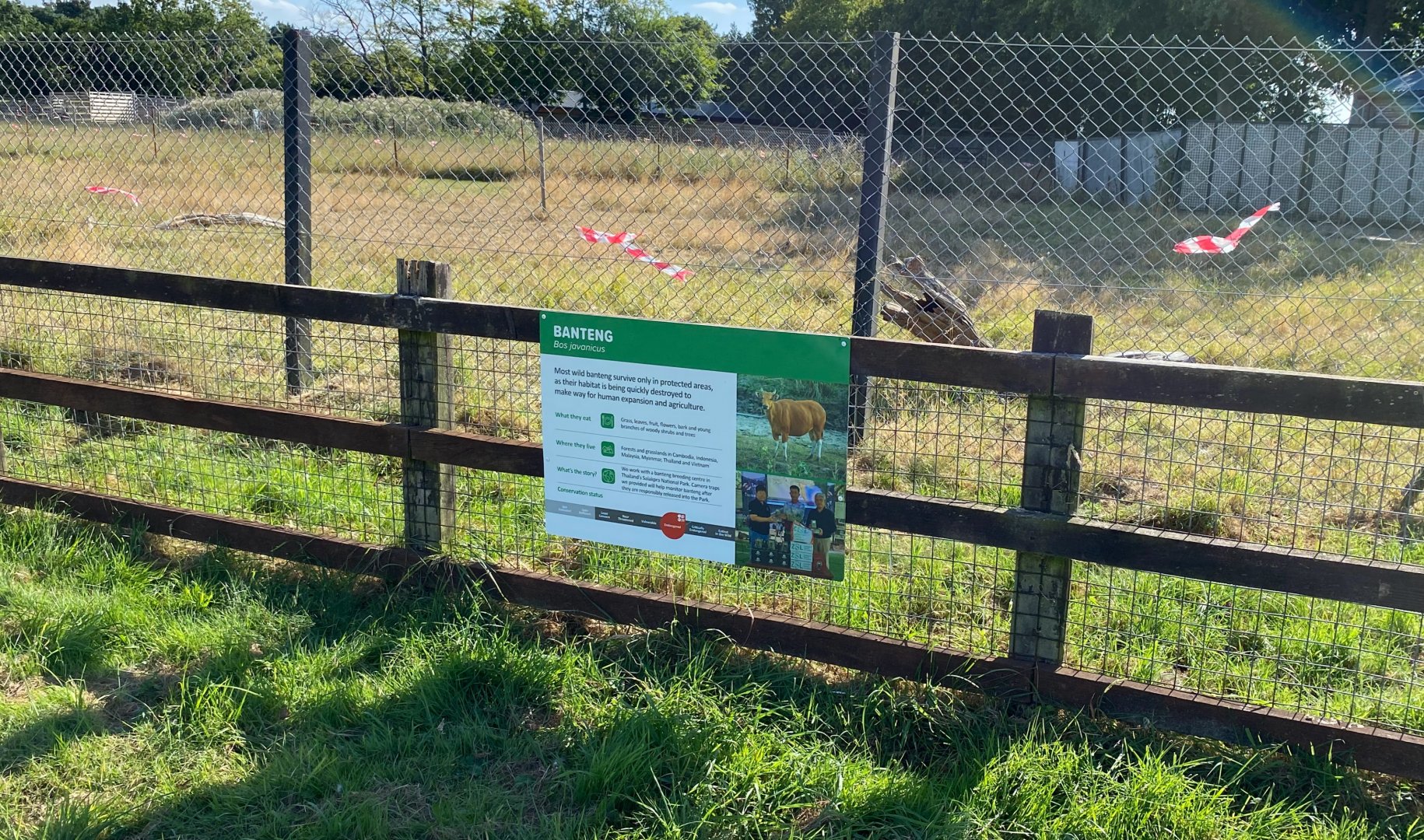 Banteng signage, ZSL Whipsnade, UK