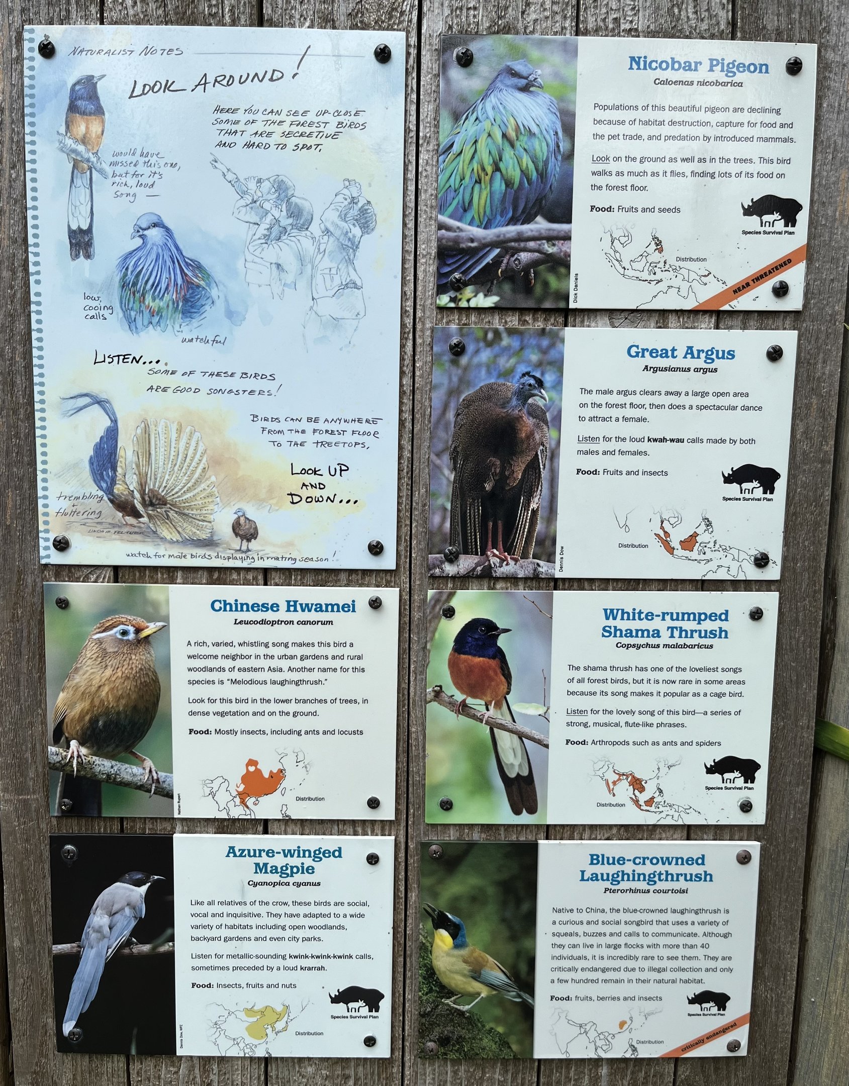 Banyan Wilds Aviary - 6 species