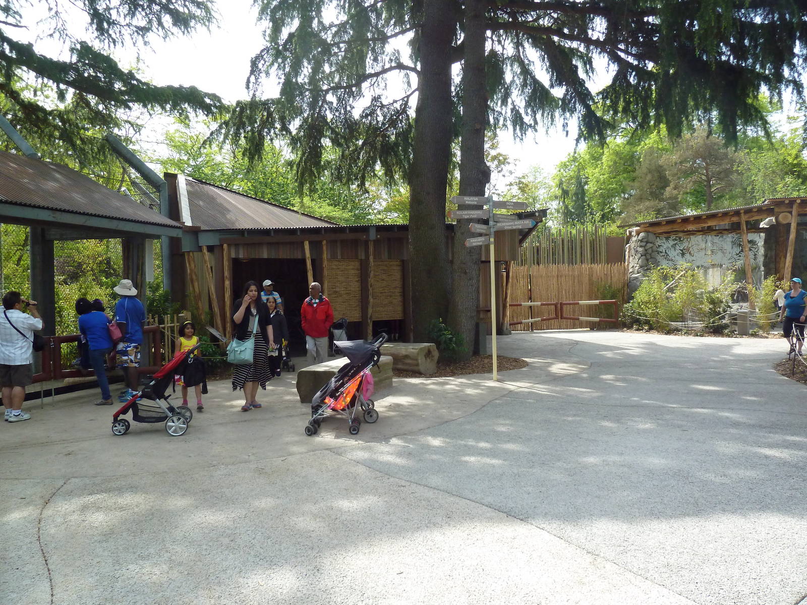 Banyan Wilds - Main Plaza (New in 2015)