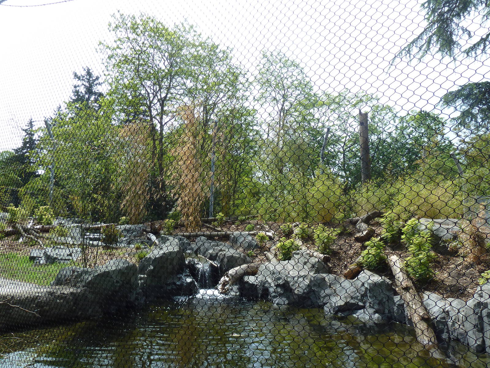 Banyan Wilds - Malayan Tiger Exhibit (New in 2015)