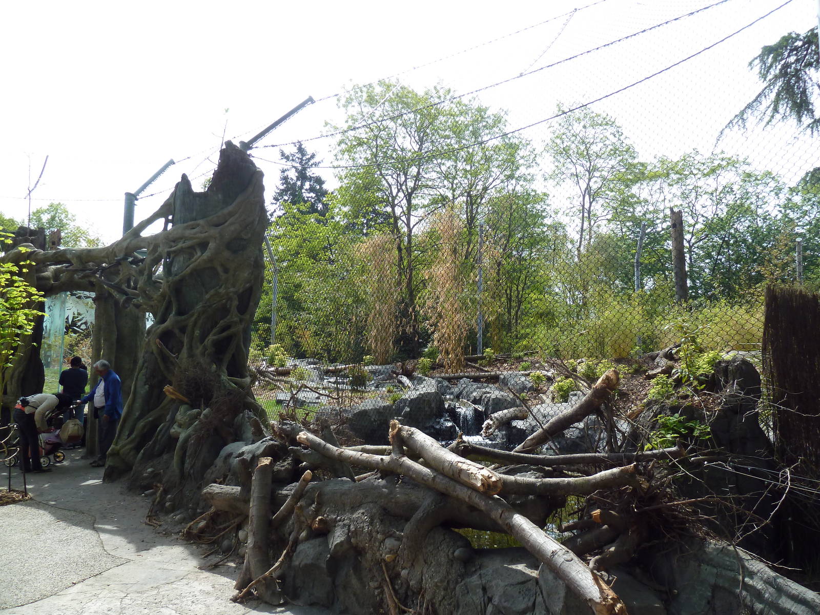 Banyan Wilds - Malayan Tiger Exhibit (New in 2015)