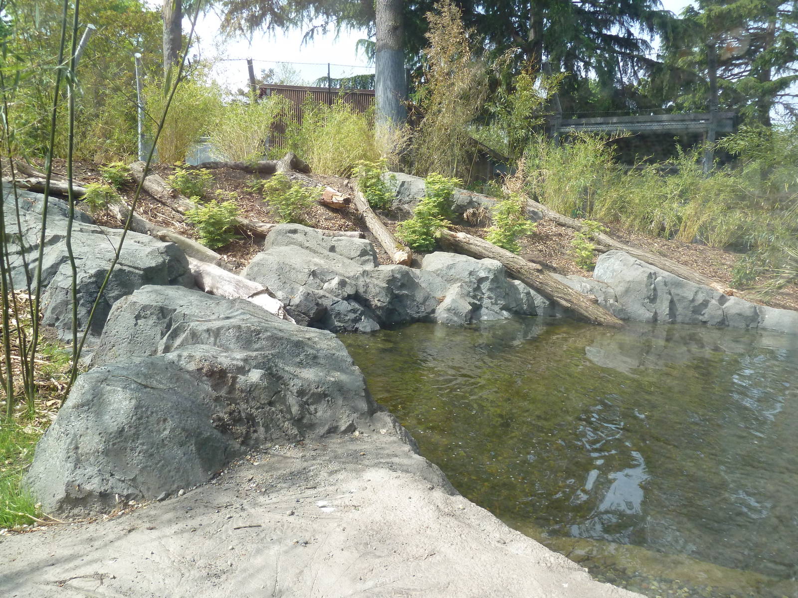 Banyan Wilds - Malayan Tiger Exhibit Pool (New in 2015)