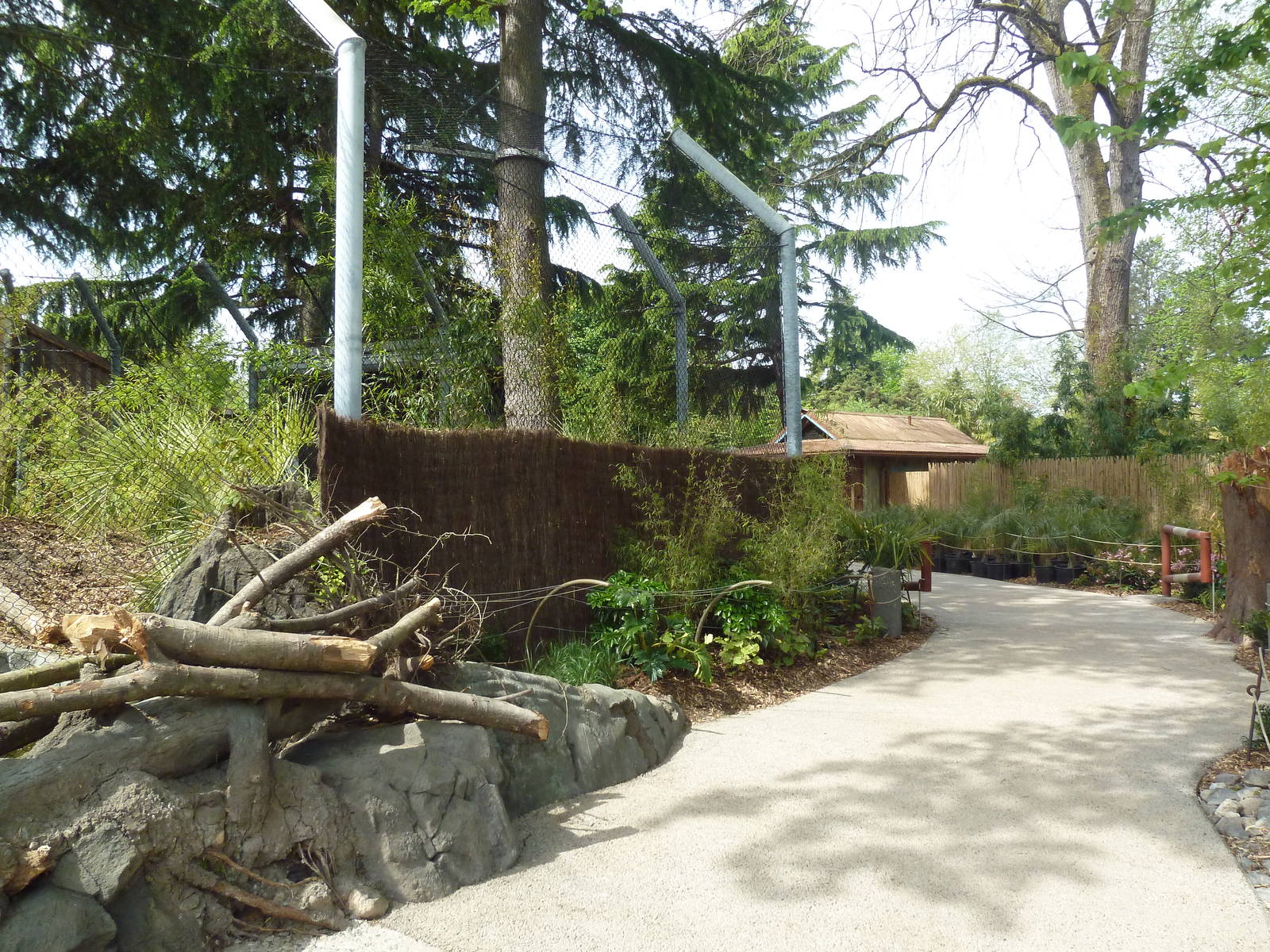 Banyan Wilds - Pathway (New in 2015)