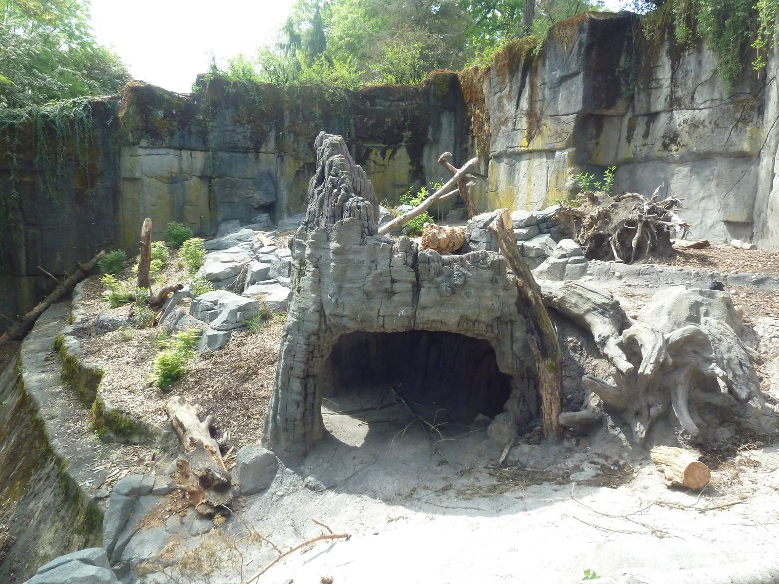 Banyan Wilds - Sloth Bear Exhibit #1 (New in 2015)