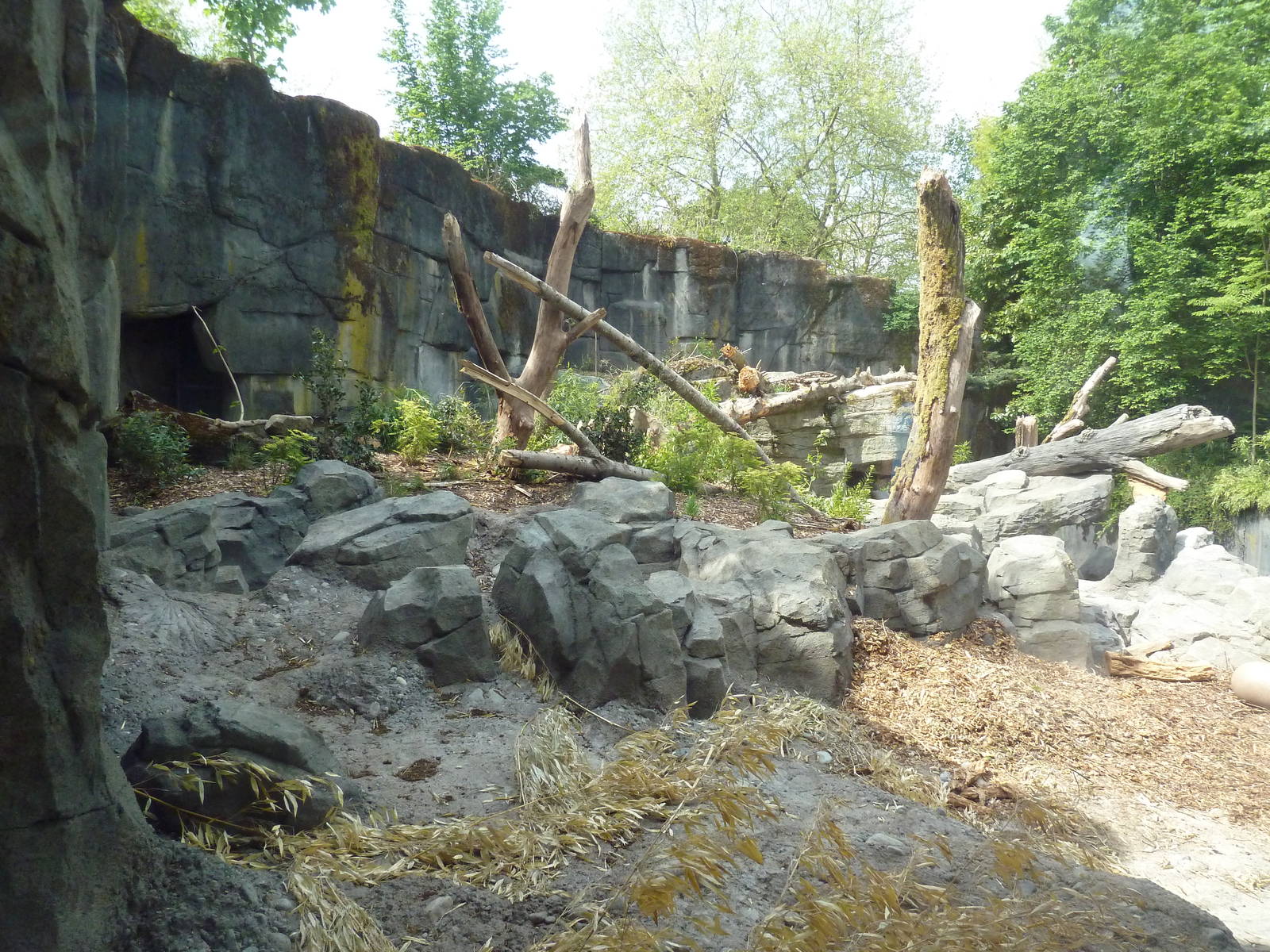 Banyan Wilds - Sloth Bear Exhibit #2 (New in 2015)
