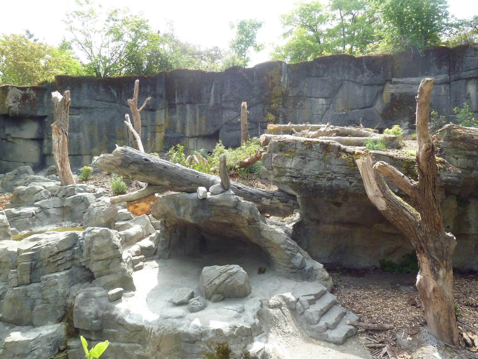 Banyan Wilds - Sloth Bear Exhibit #2 (New in 2015)