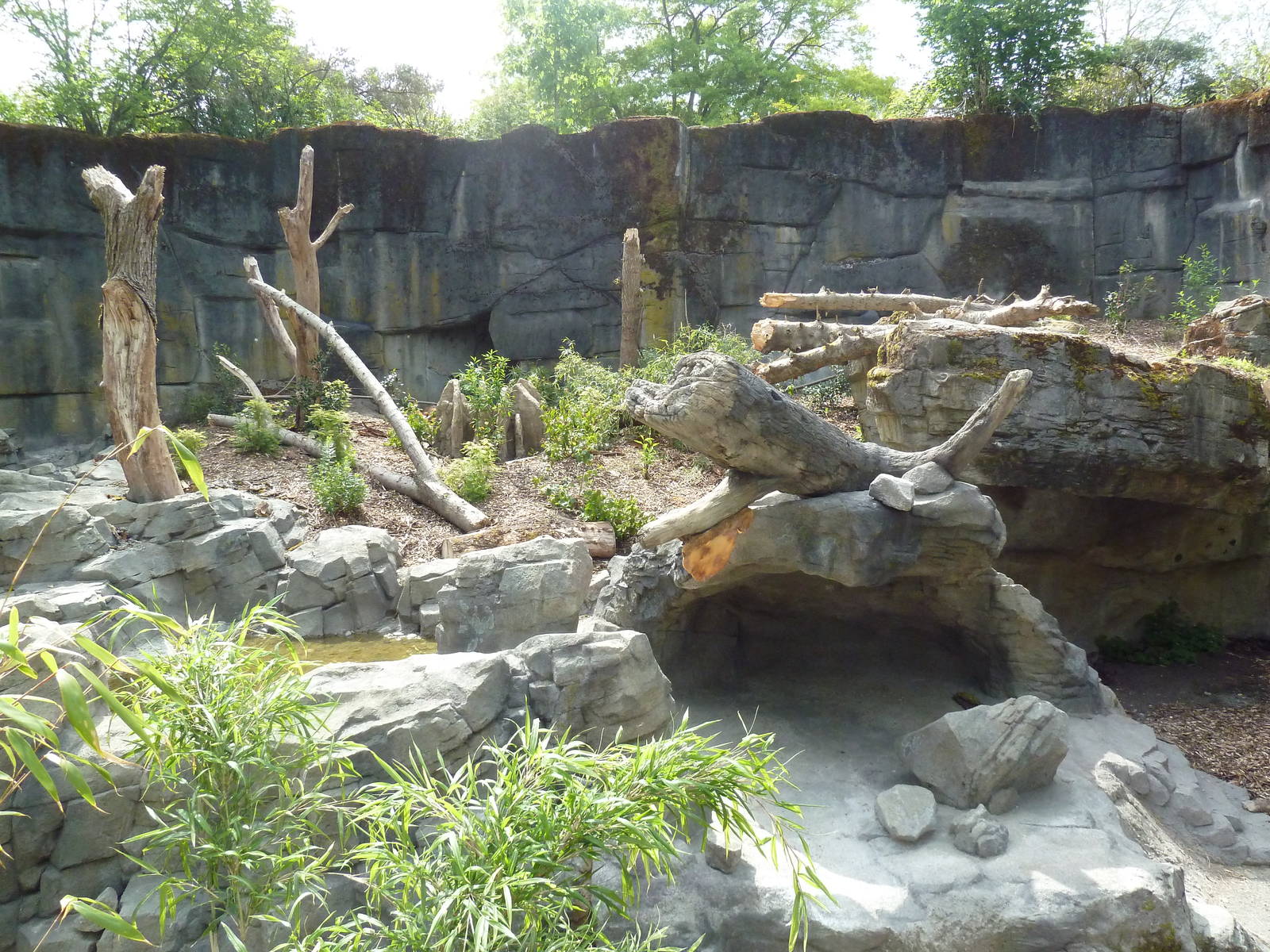 Banyan Wilds - Sloth Bear Exhibit #2 (New in 2015)