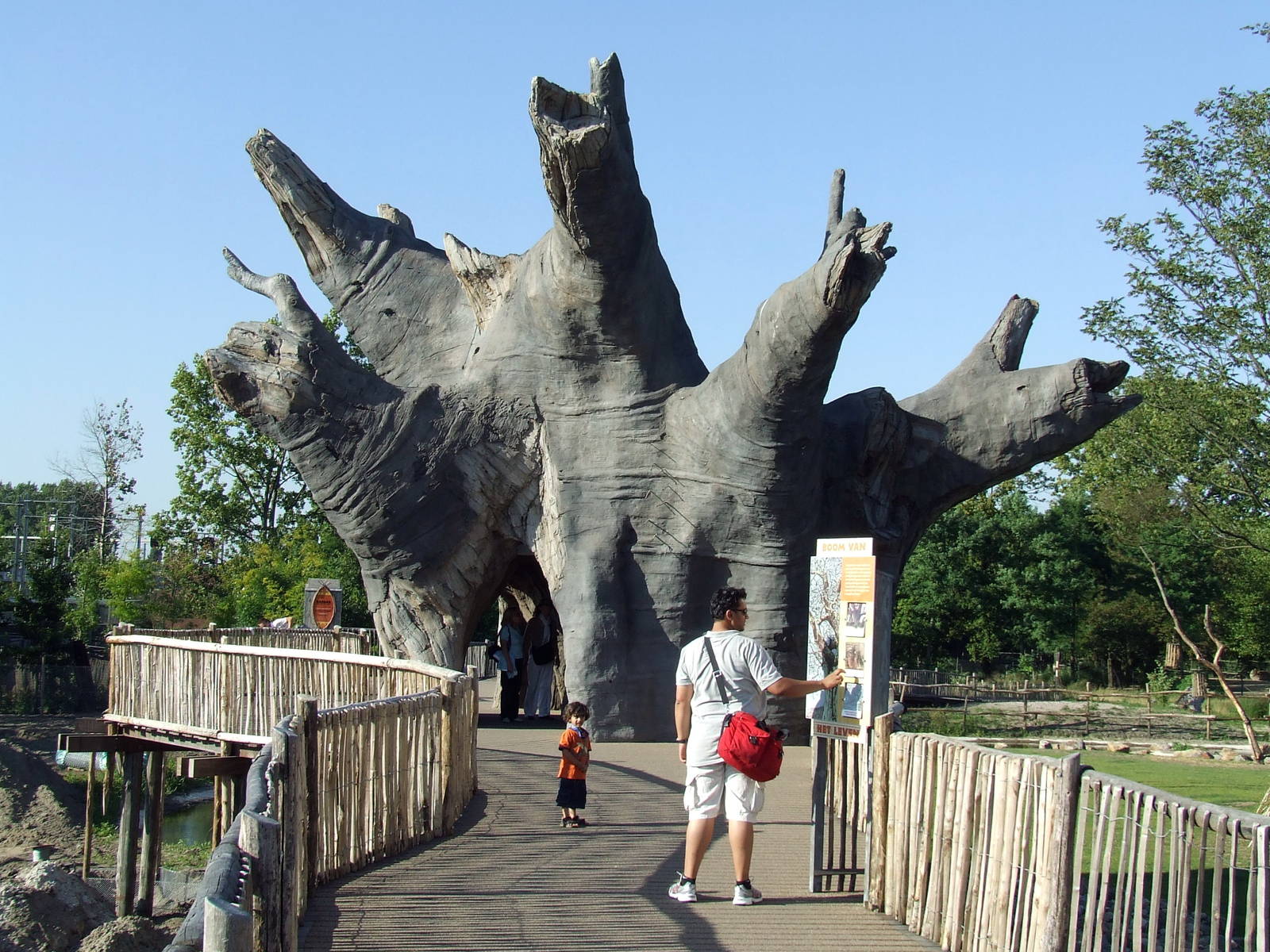 Baobab photos, Savanna