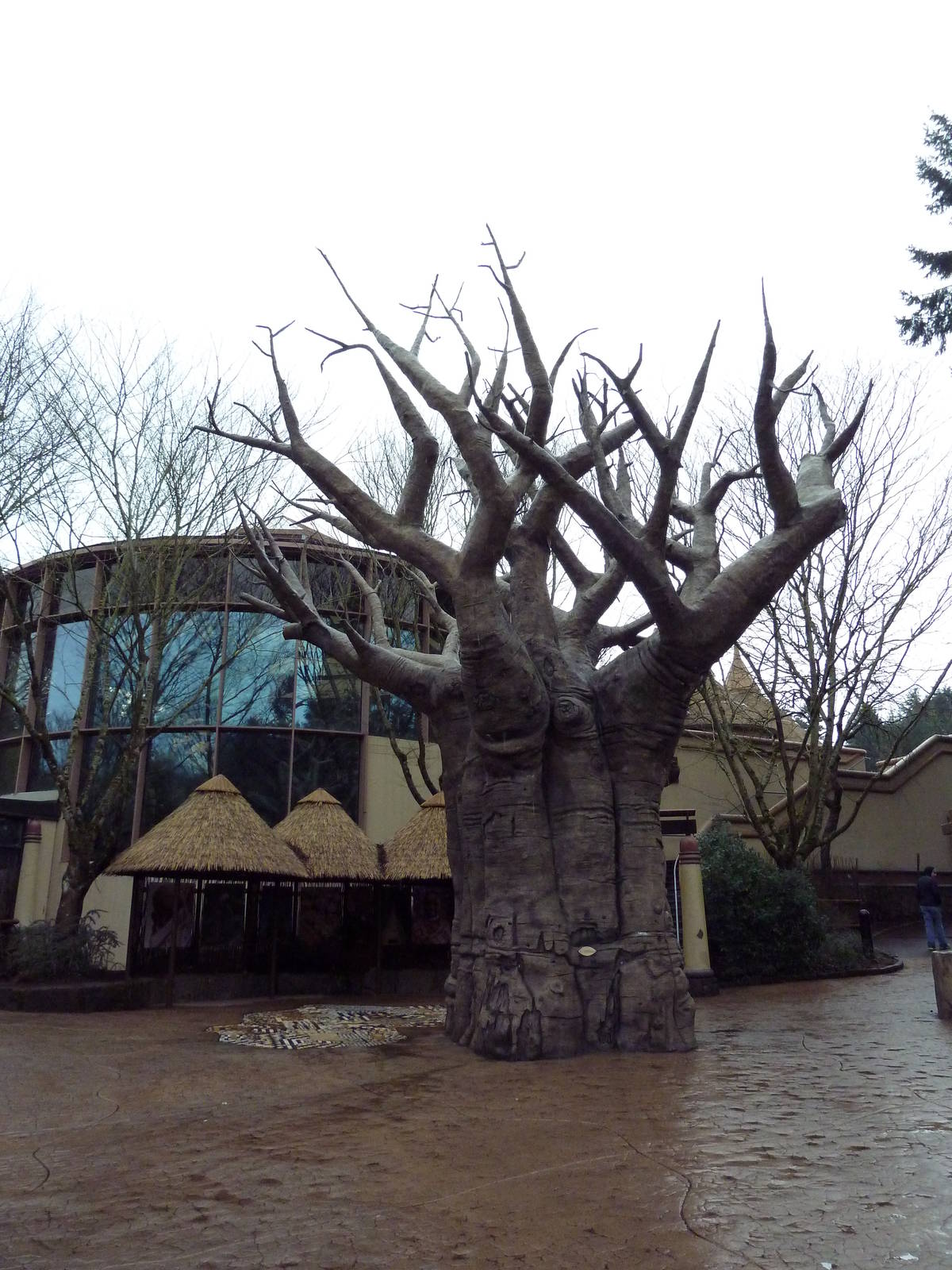 Baobab Tree + Vollum Aviary