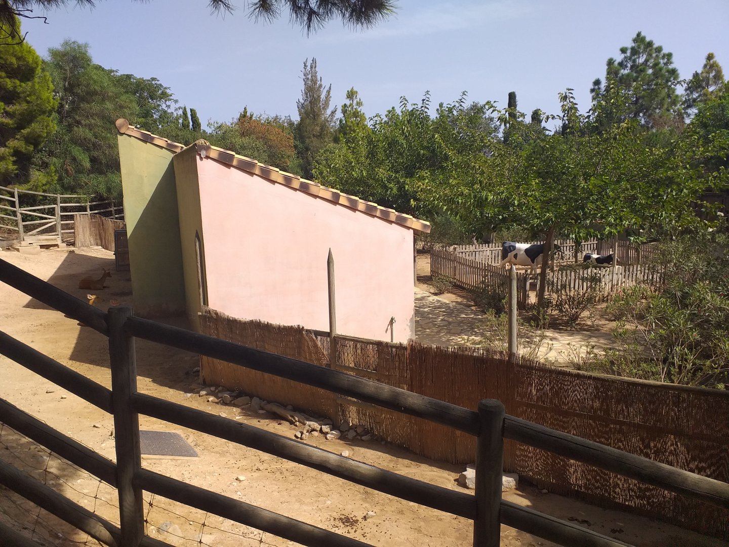 Barashinga exhibit -TerraNatura Benidorm (2021)