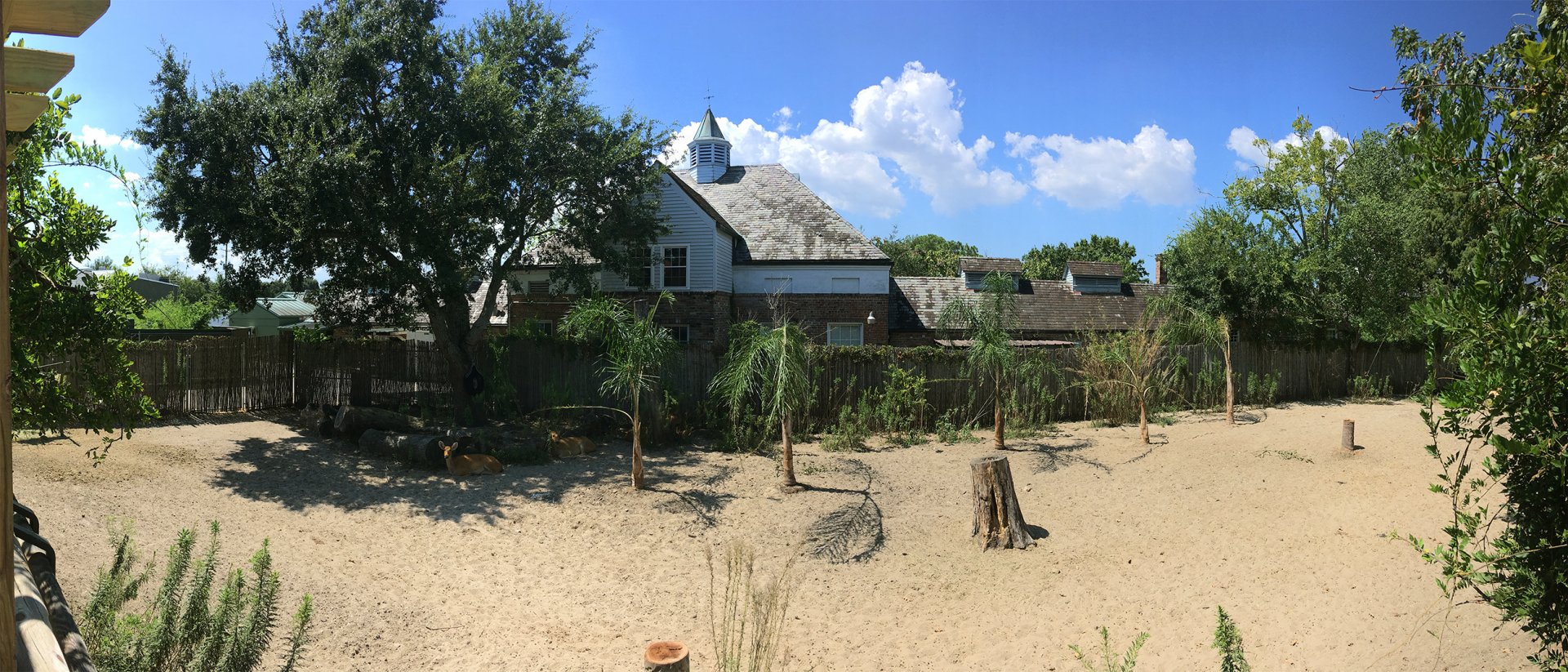 Barasingha Deer Exhibit Left Side