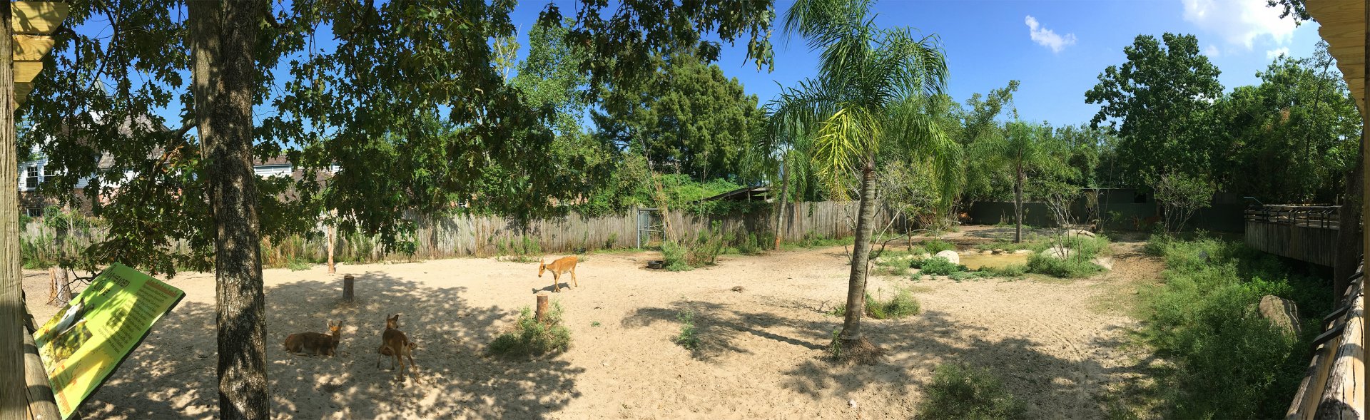 Barasingha Deer Exhibit Right Side