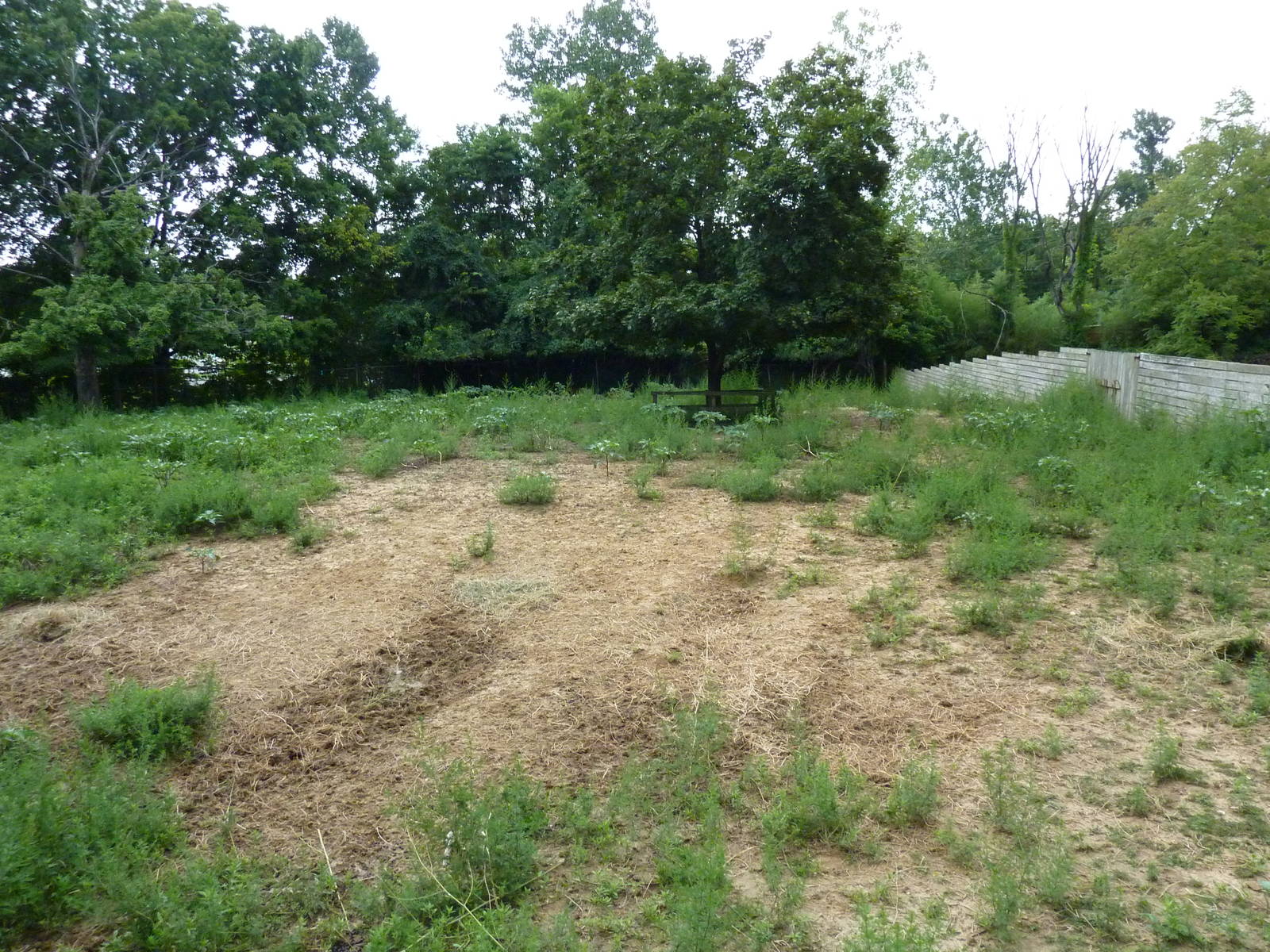 Barasingha/Sarus Crane Exhibit