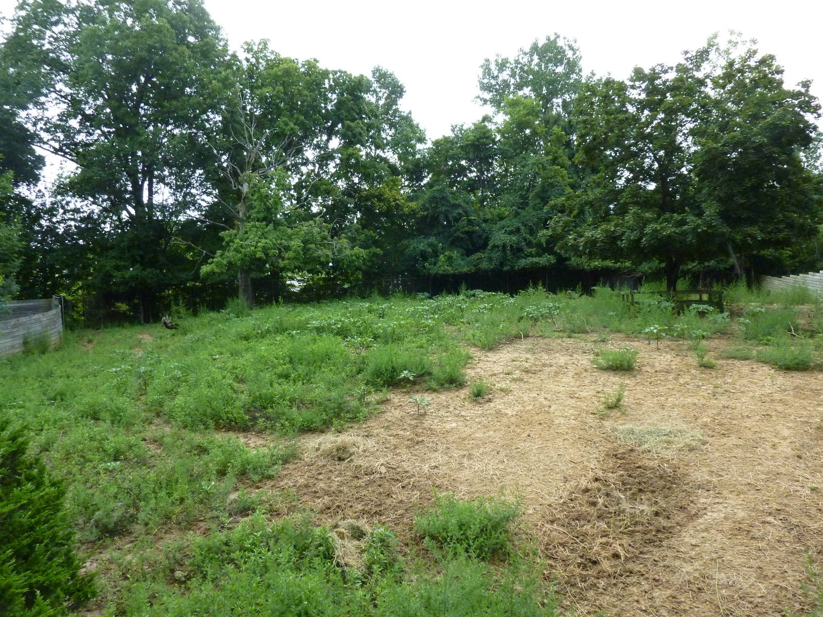 Barasingha/Sarus Crane Exhibit