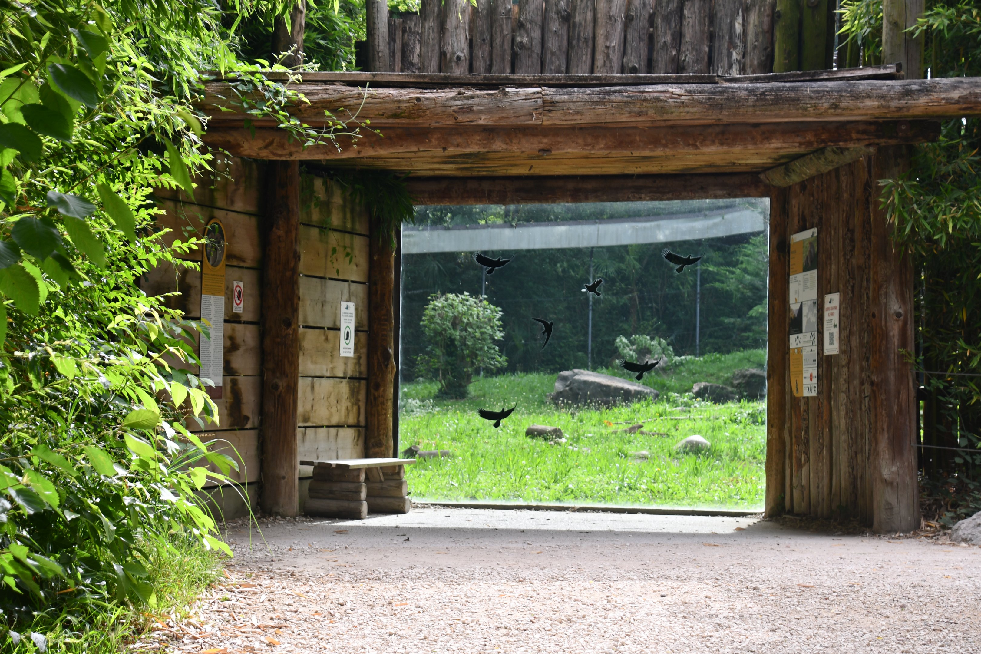 Barbary Apes exhibit