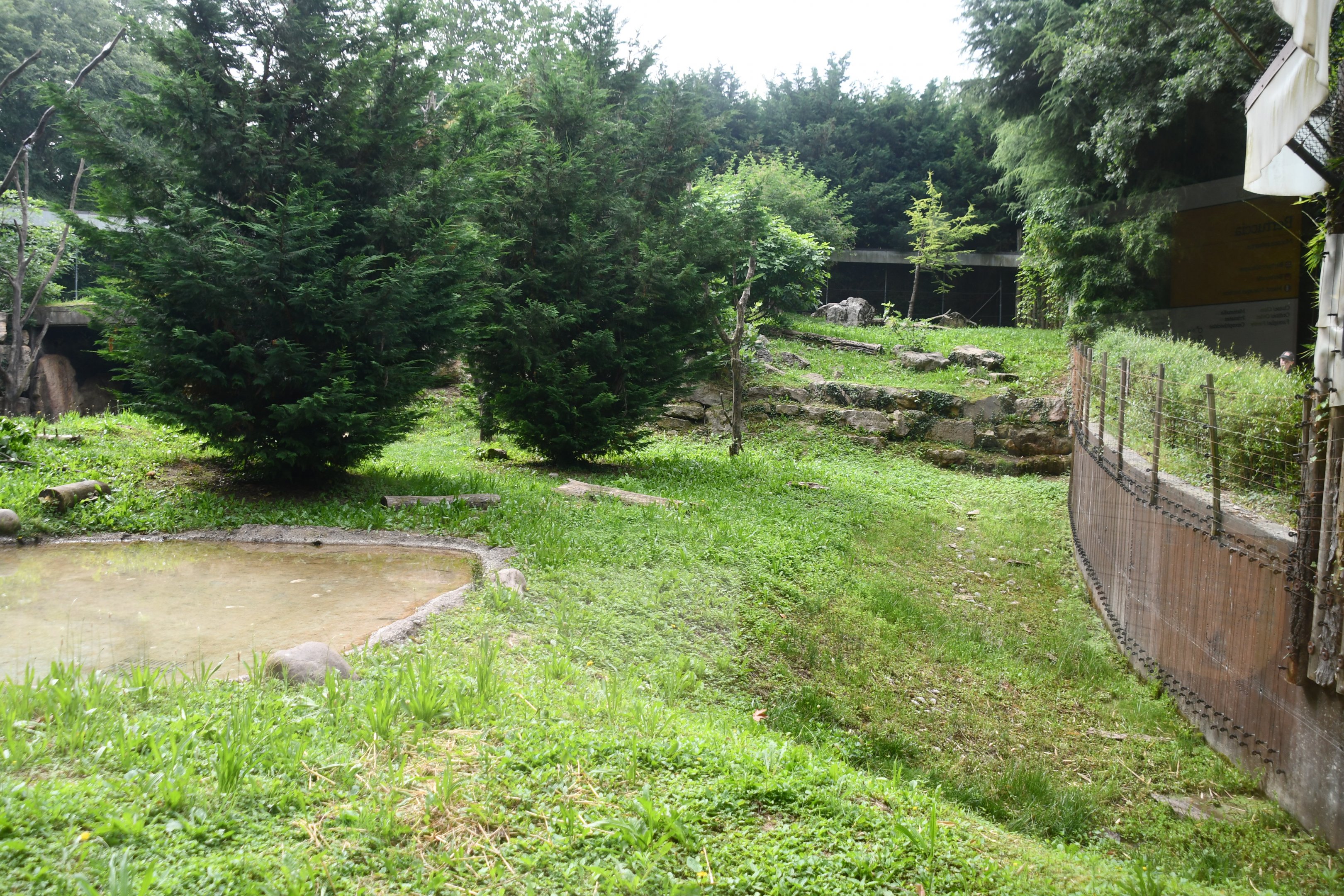Barbary Apes exhibit
