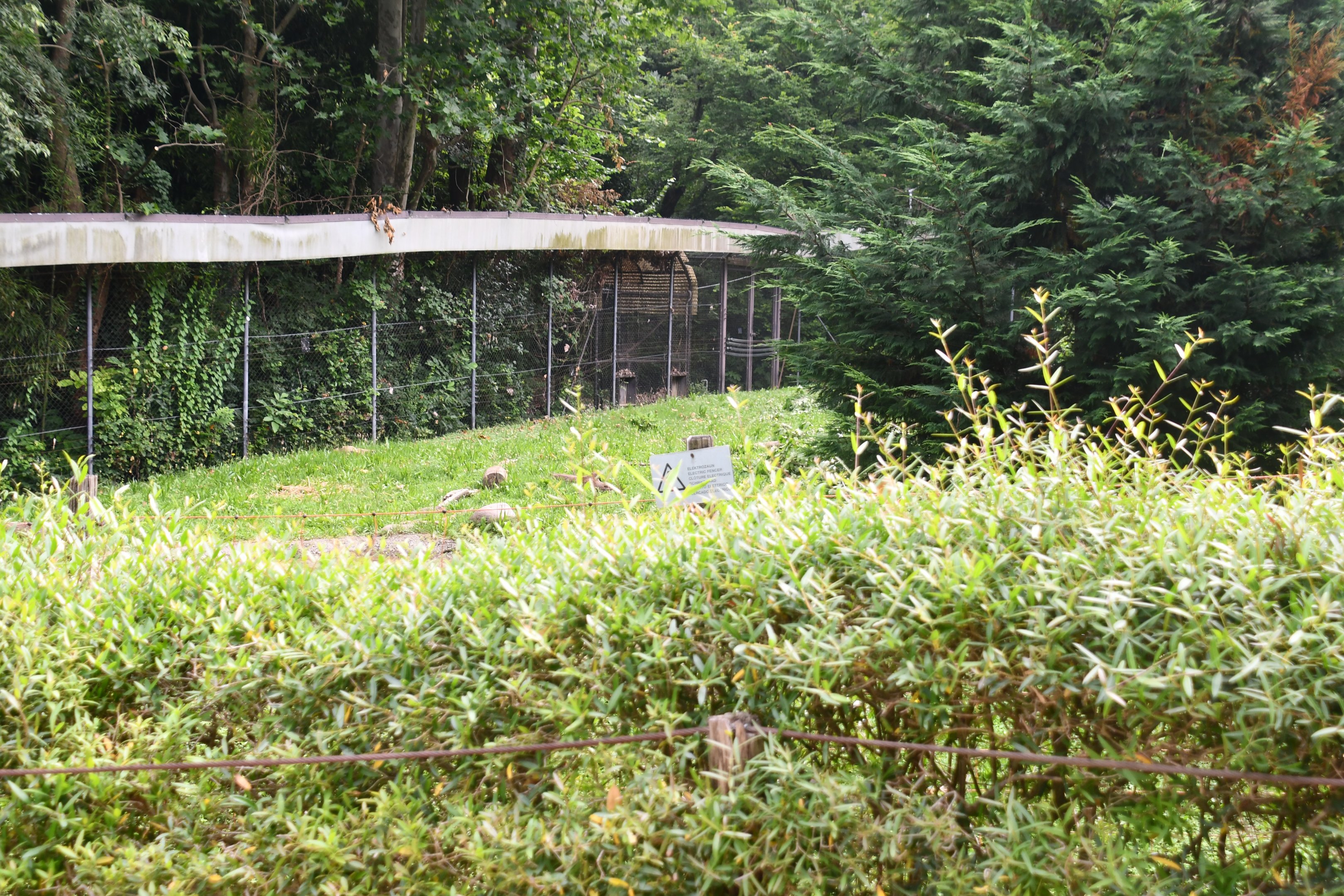 Barbary Apes exhibit