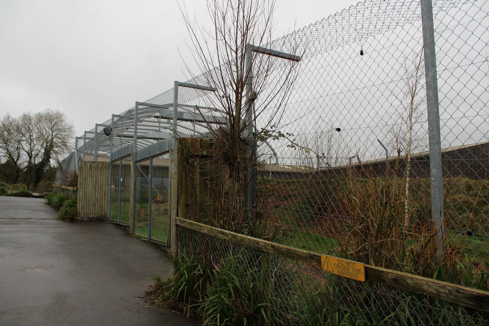Barbary Lion Enclosure