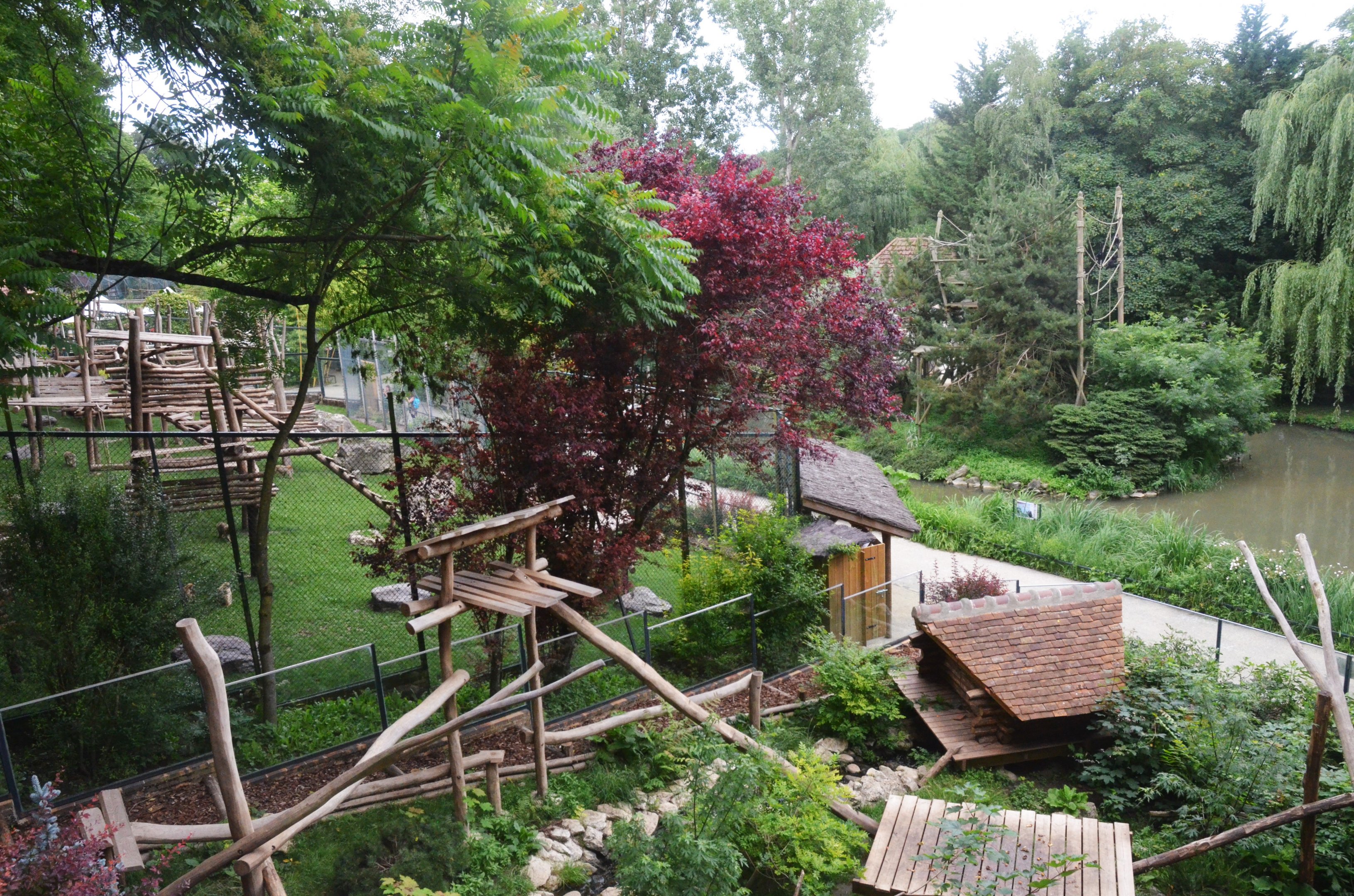 Barbary Macaque and Raccoon Enclosures at Beauval, 12/06/18
