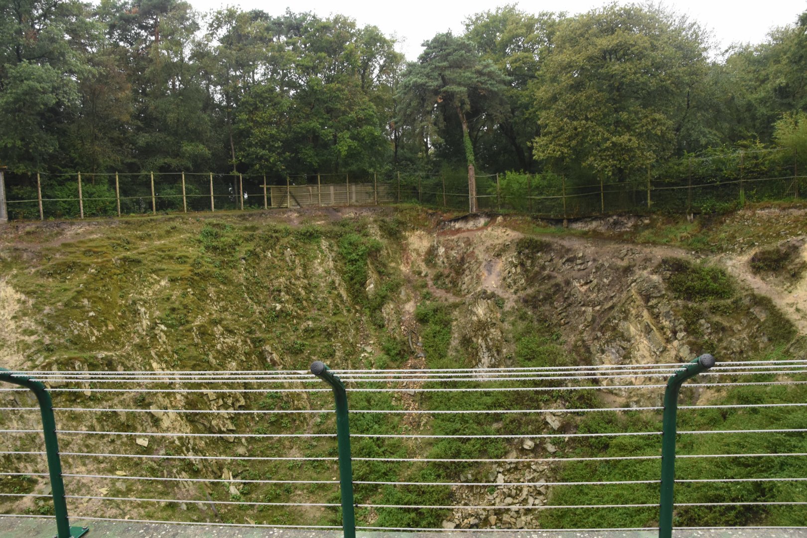 Barbary Macaque & Barbary sheep enclosure
