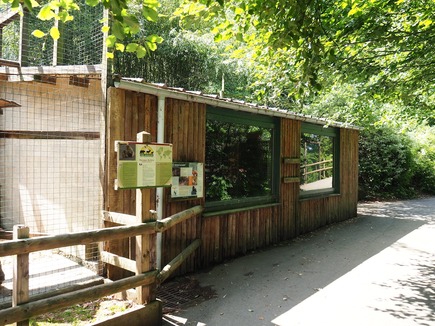 Barbary macaque barn, 2023-06-24